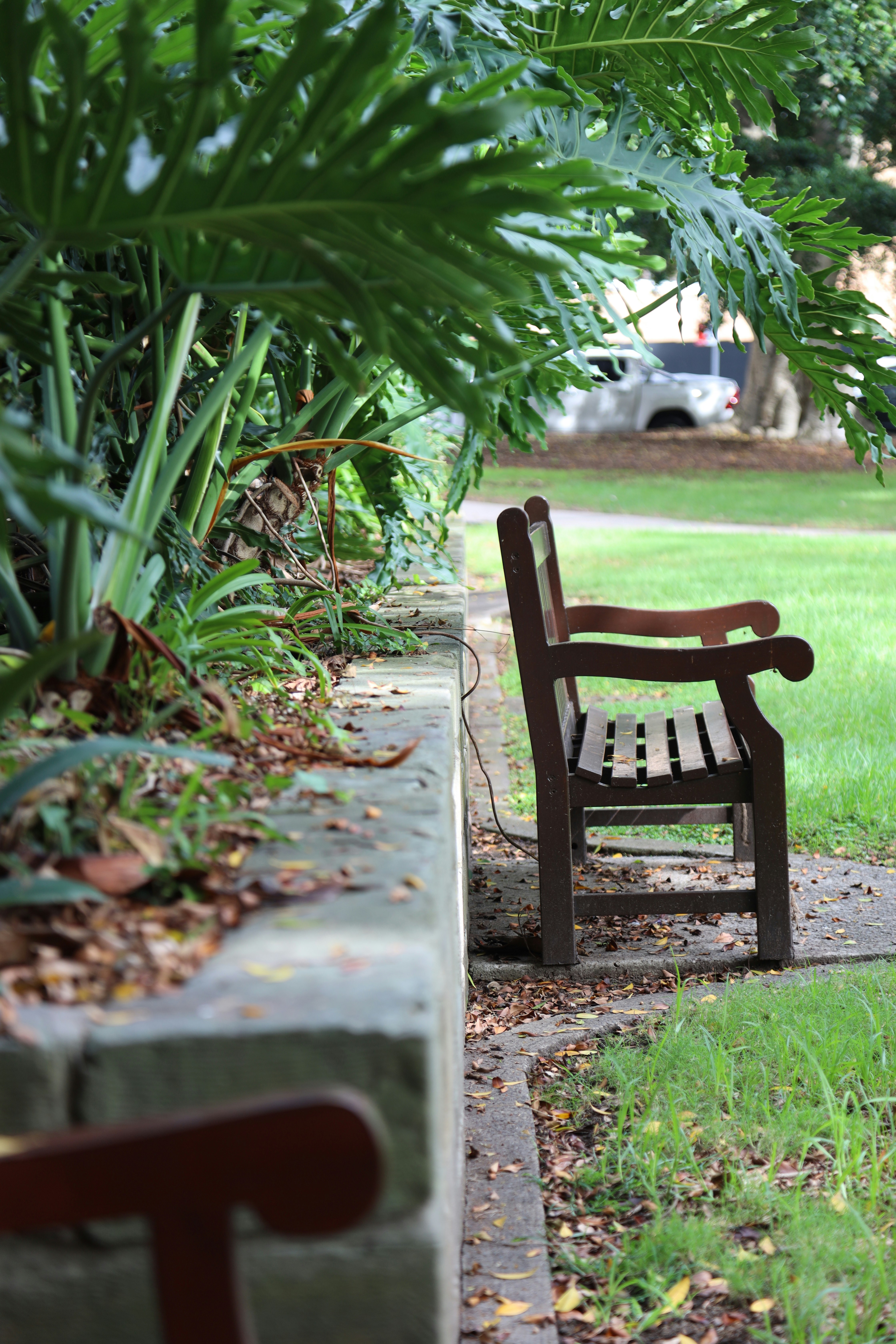 Photo by blakestaniland