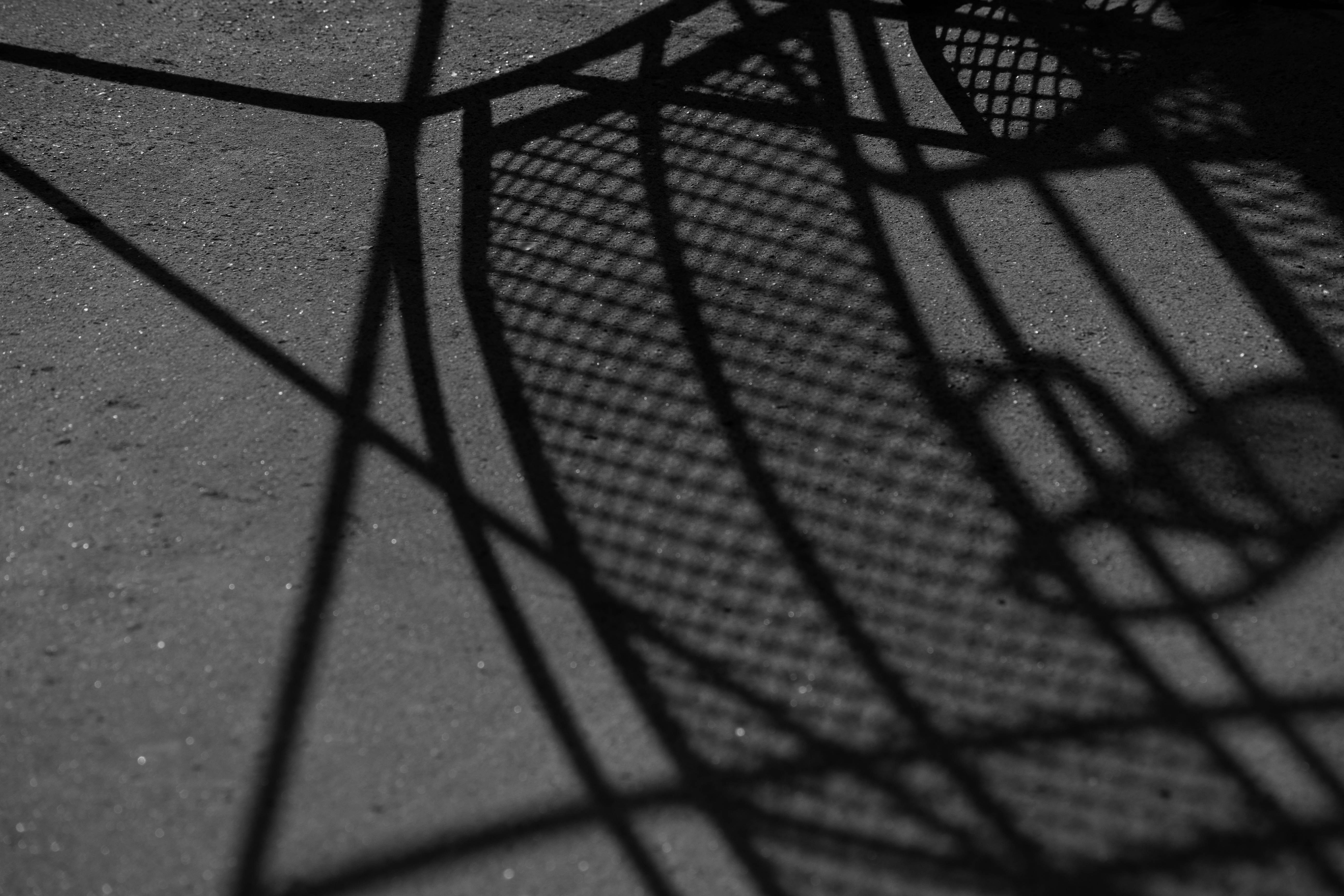 Photo by imrphotographyco