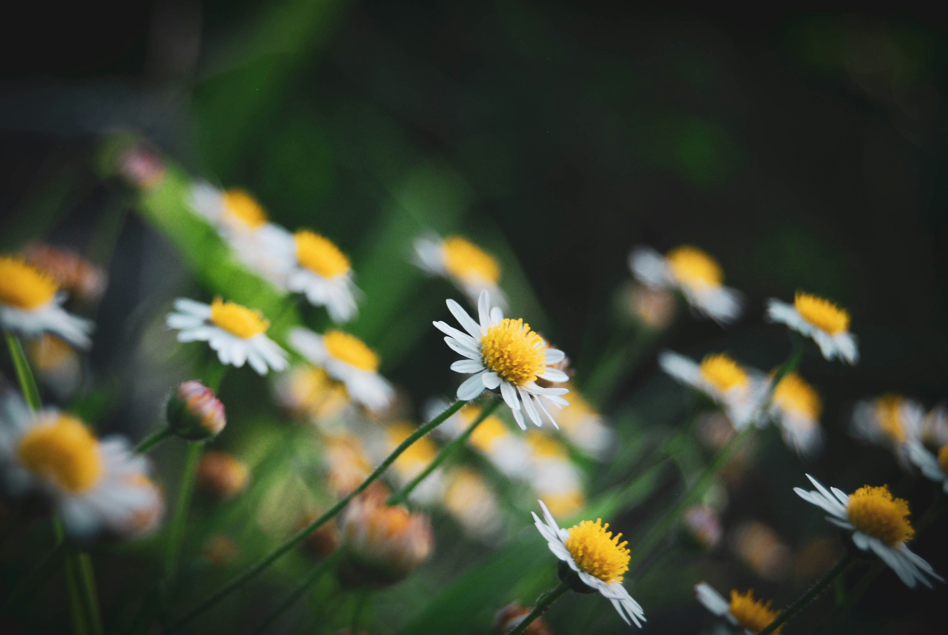 Photo by imrphotographyco