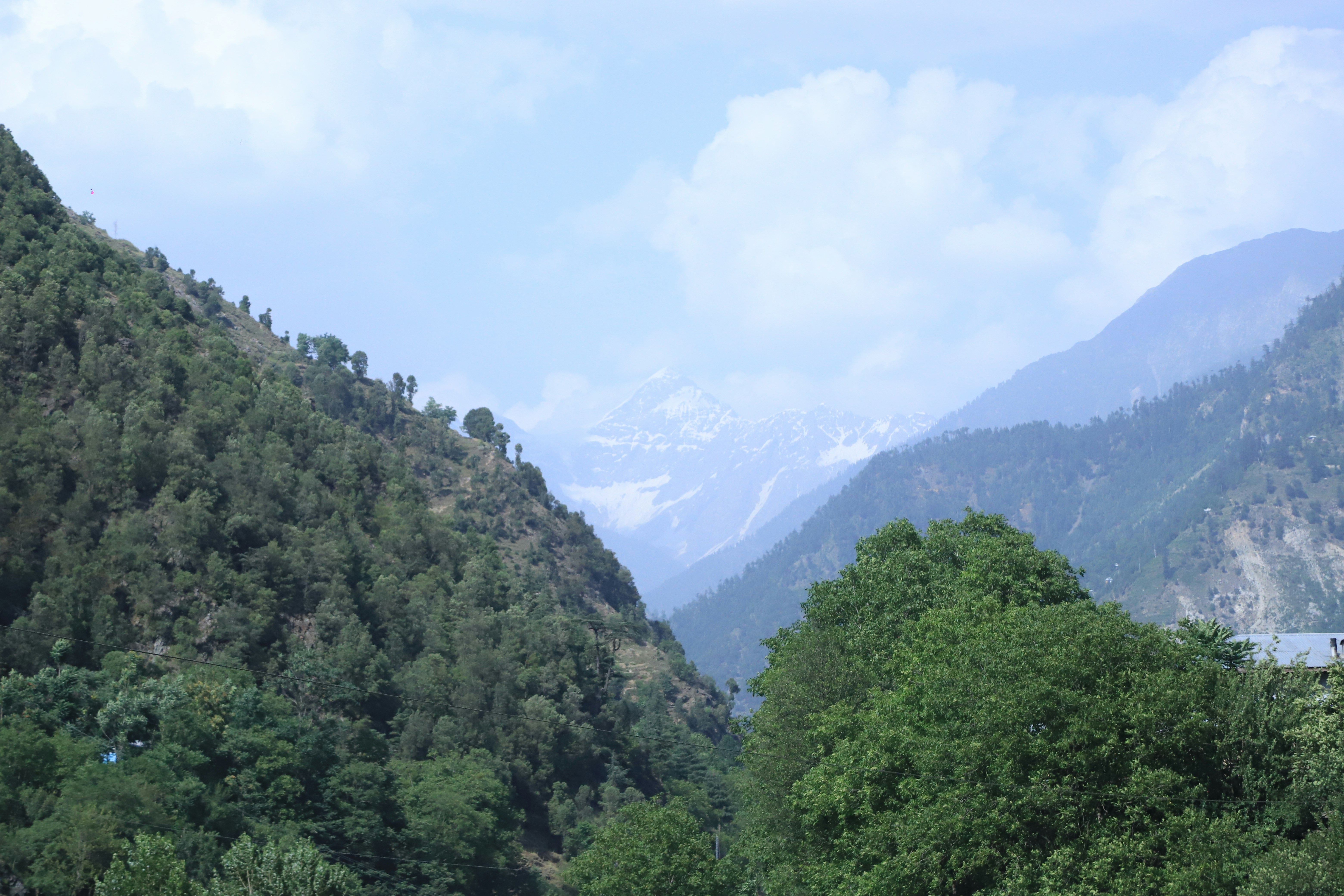 Photo by alirazajoiya