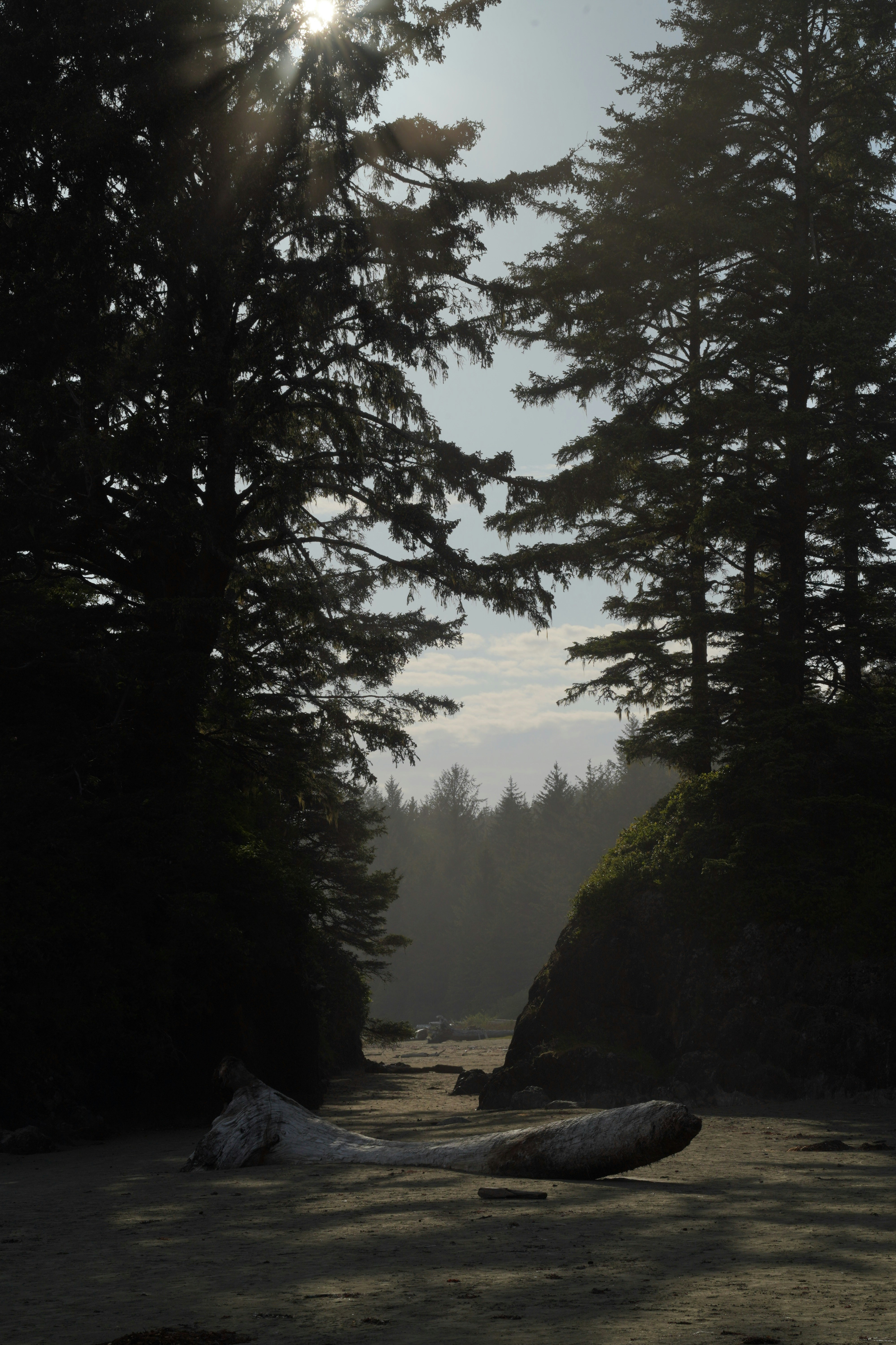 Tofino travel photo