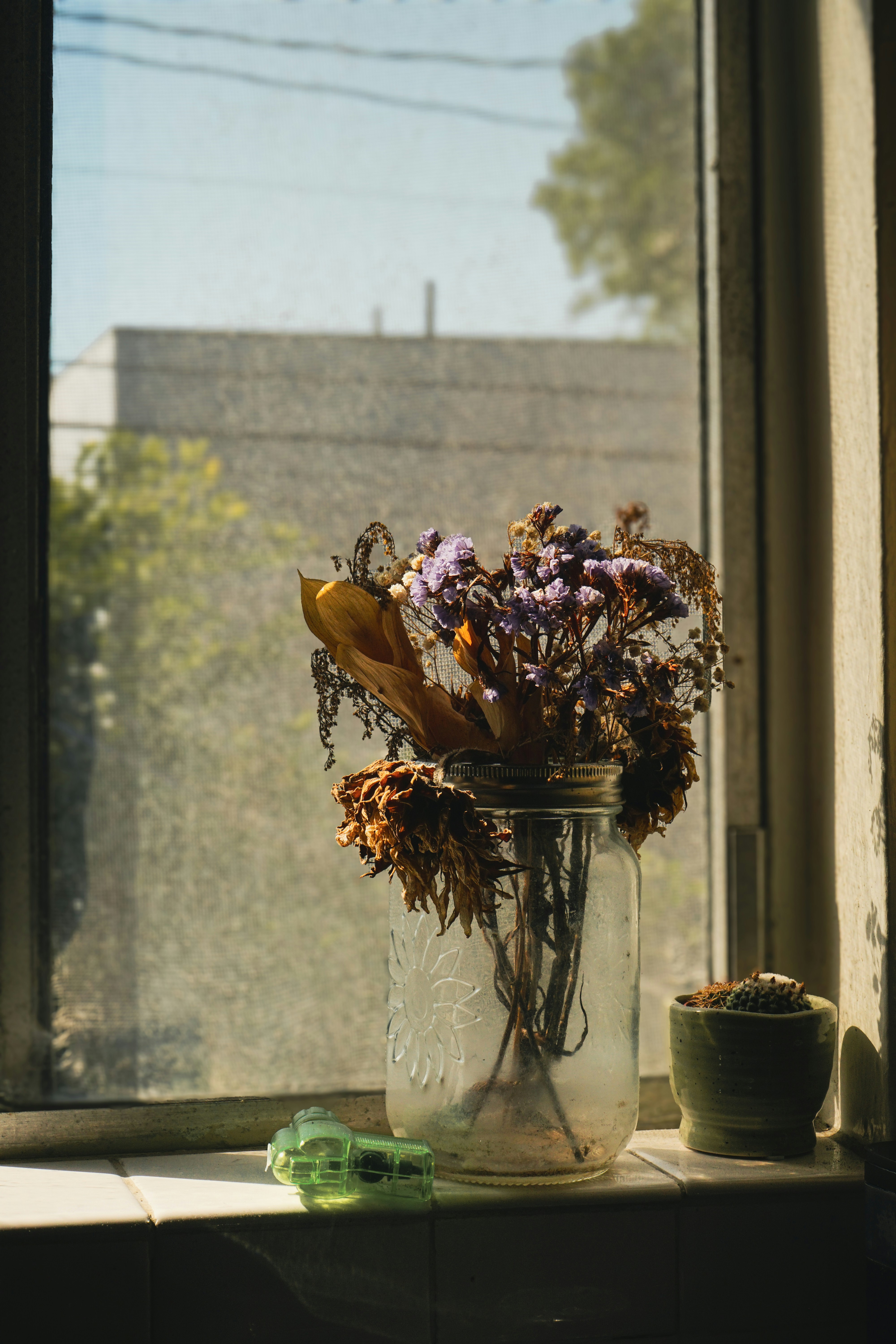 Dried flowers sit in a mason jar by a window.
