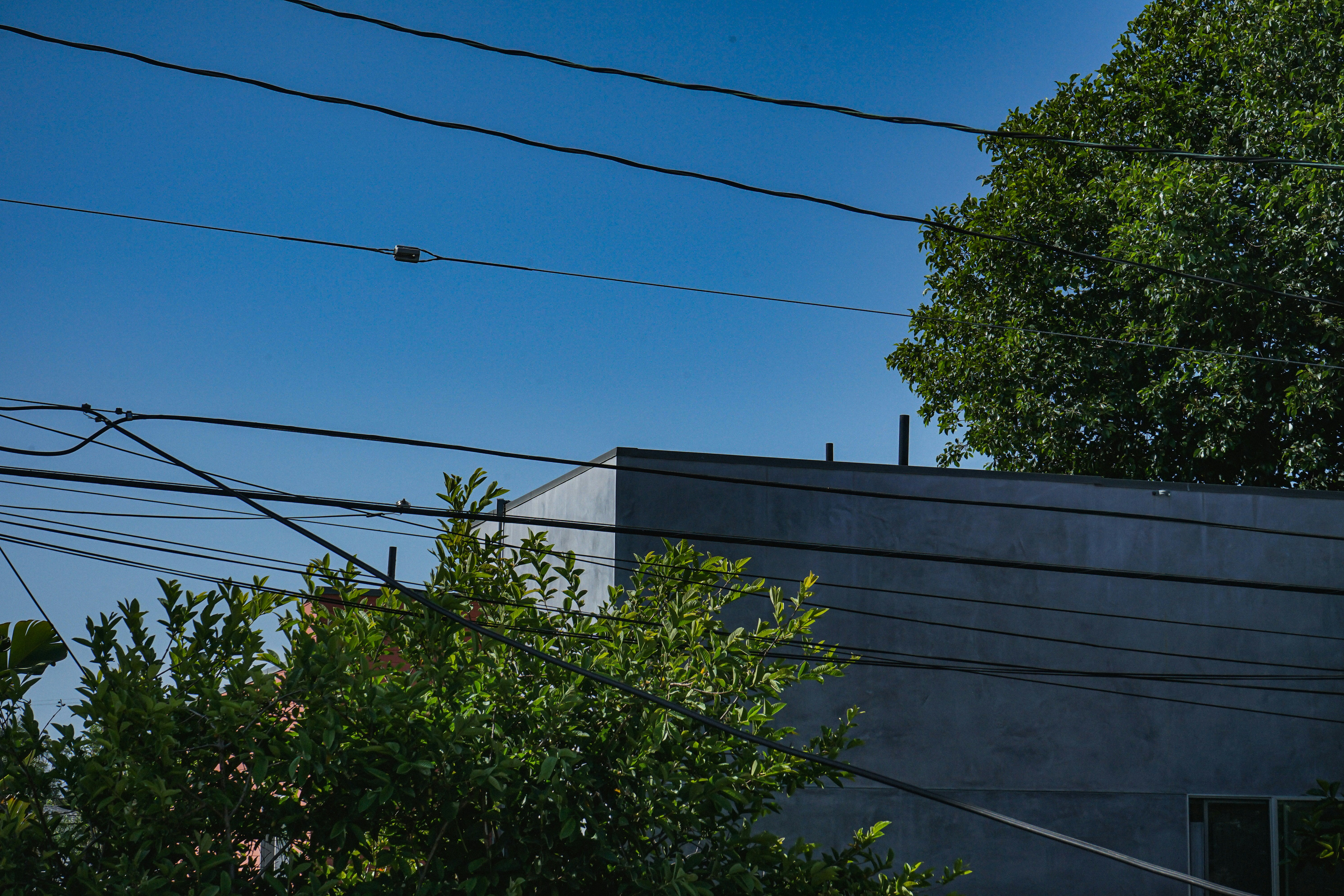 Photo by crisoabstract