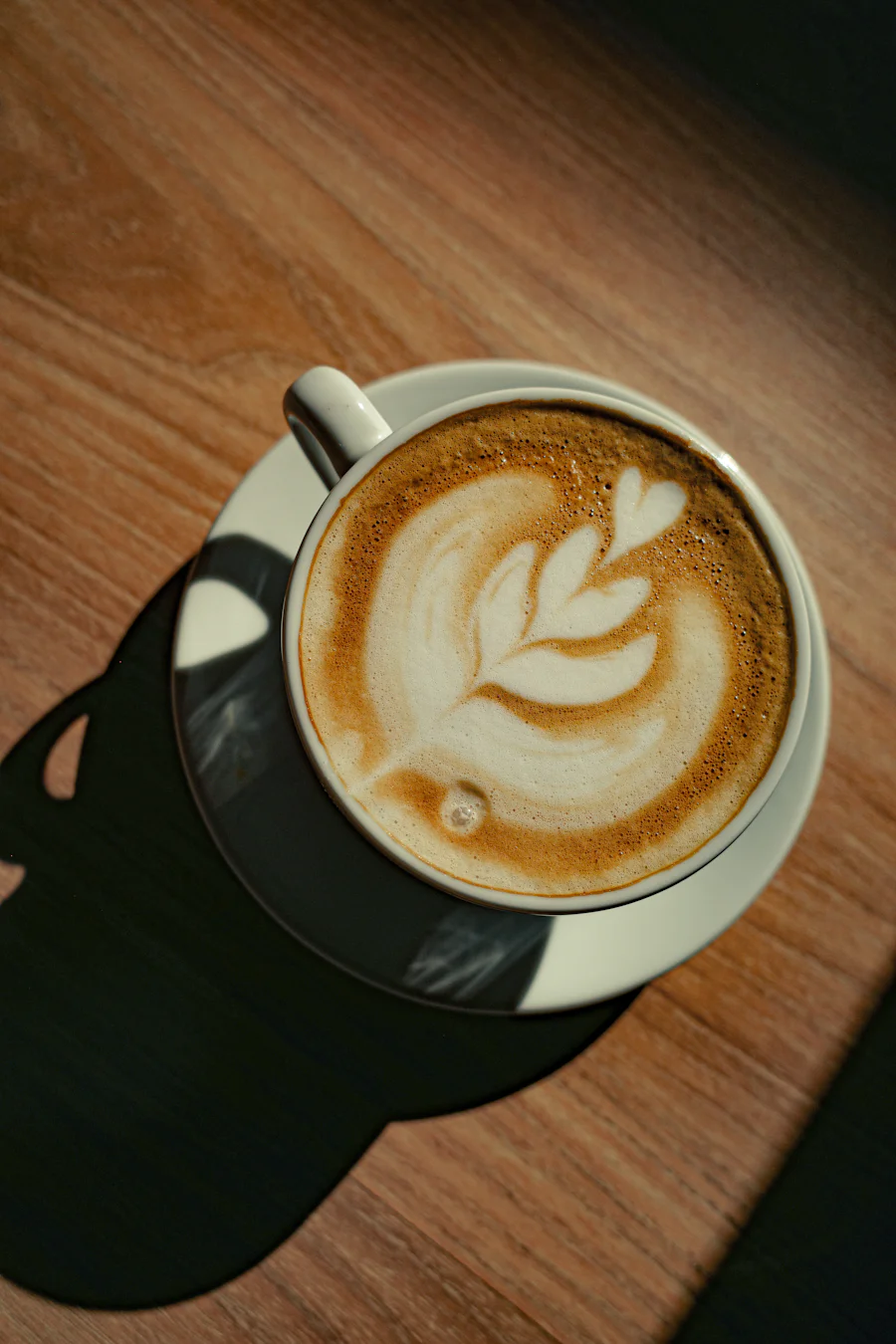 A flat white with rosetta latte art in a ceramic cup, seen from above