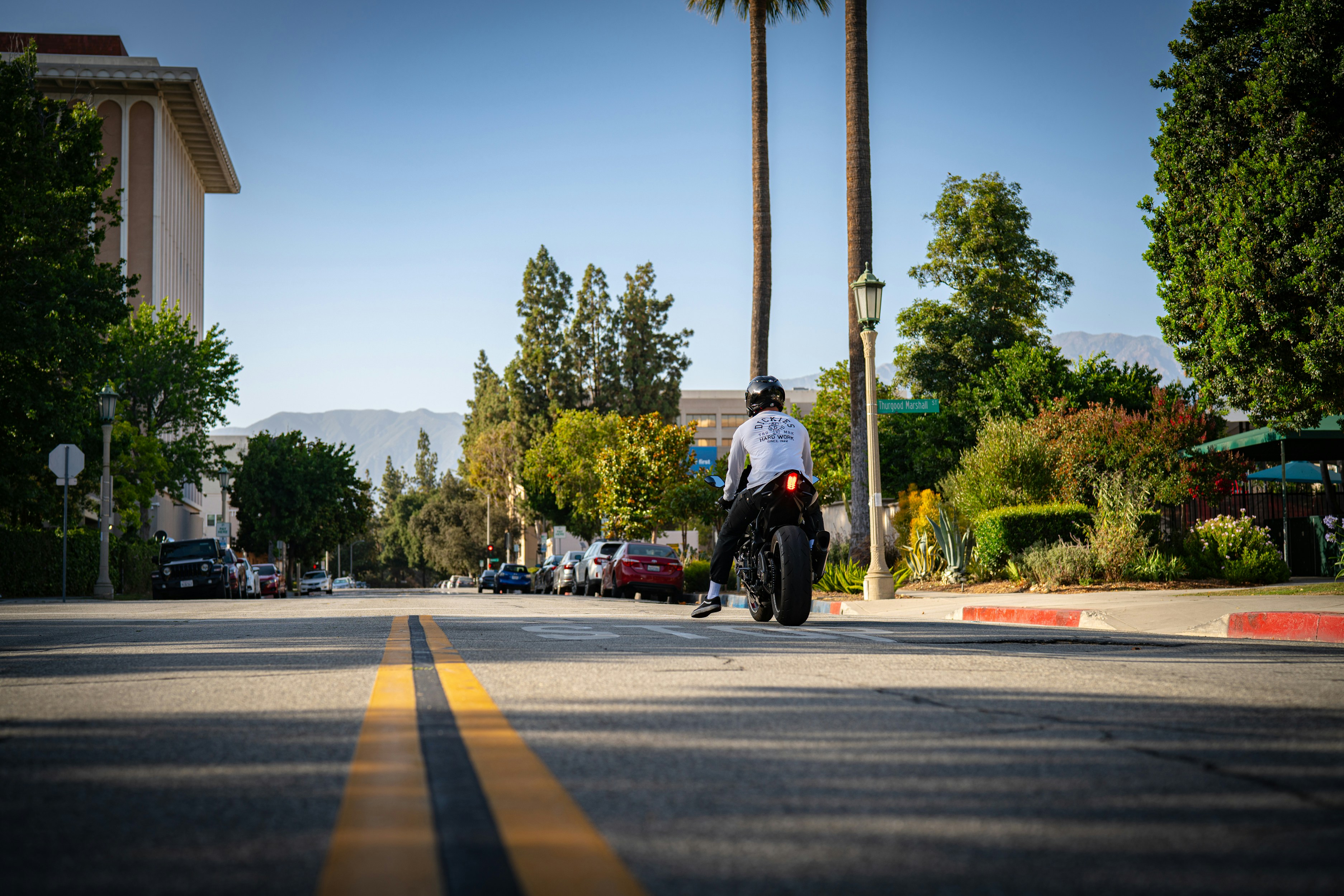 A motorcycle rides down a sunny, tree-lined street.