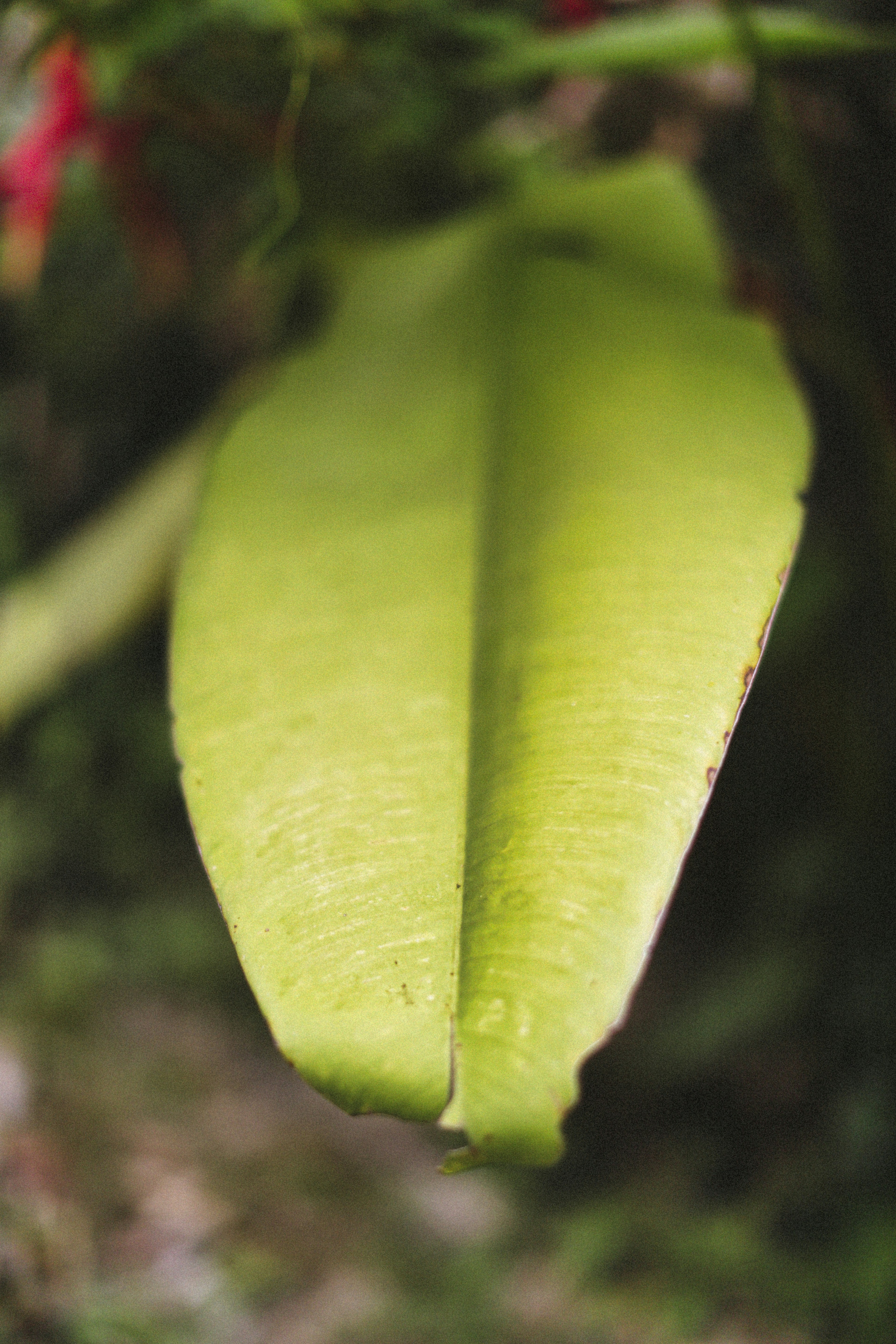 Photo by alexeydemidov