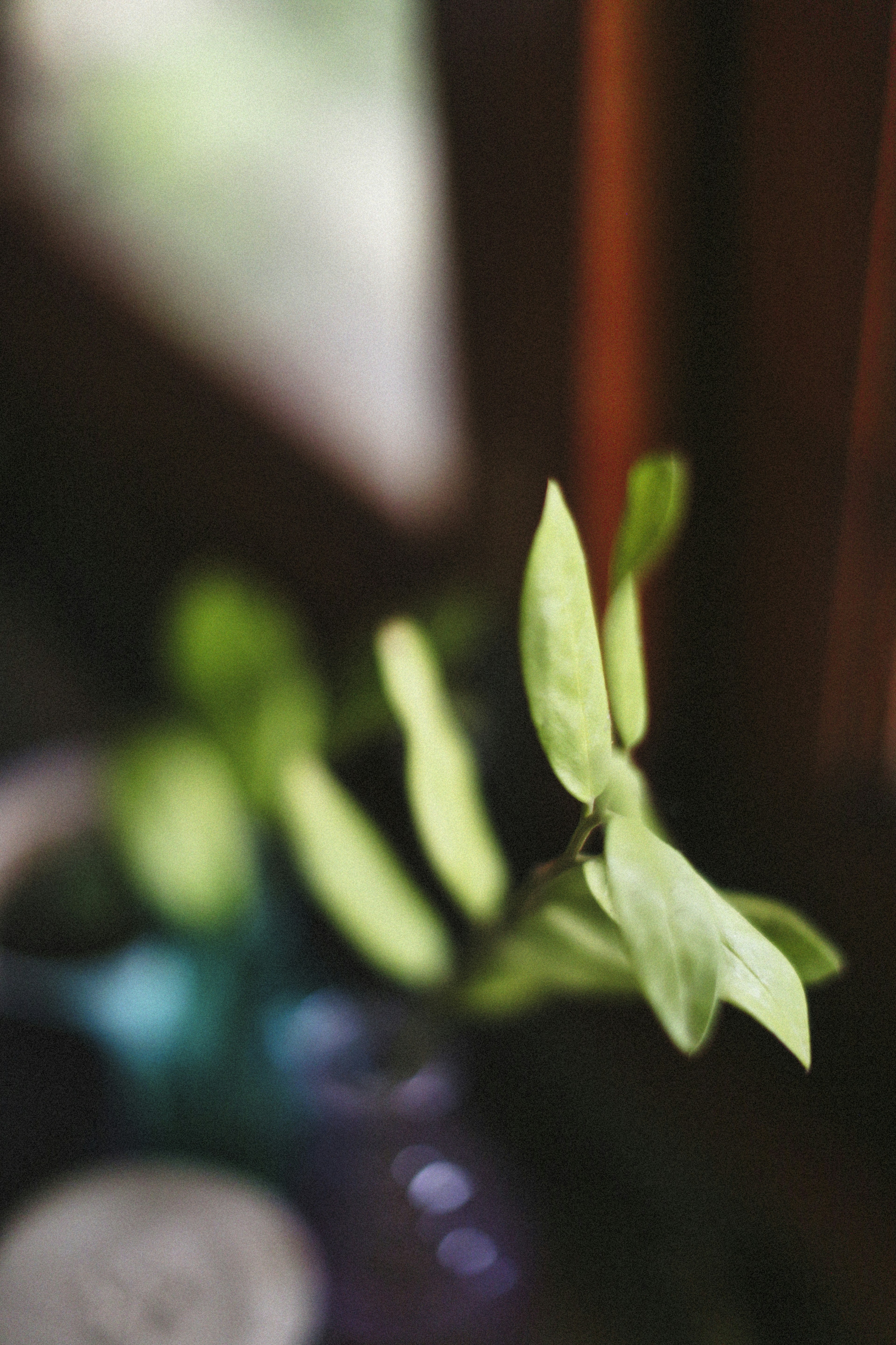 Photo by alexeydemidov