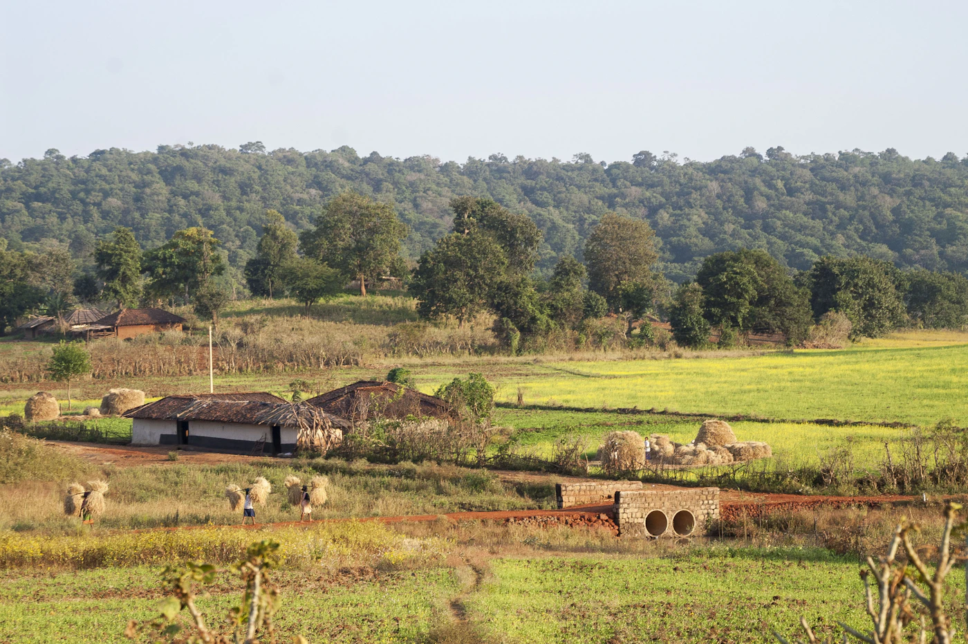 乡村振兴田野意象与社区协作，象征一瓶水一分爱