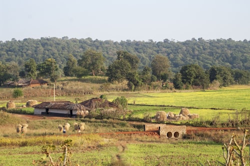 Indian rural village landscape
