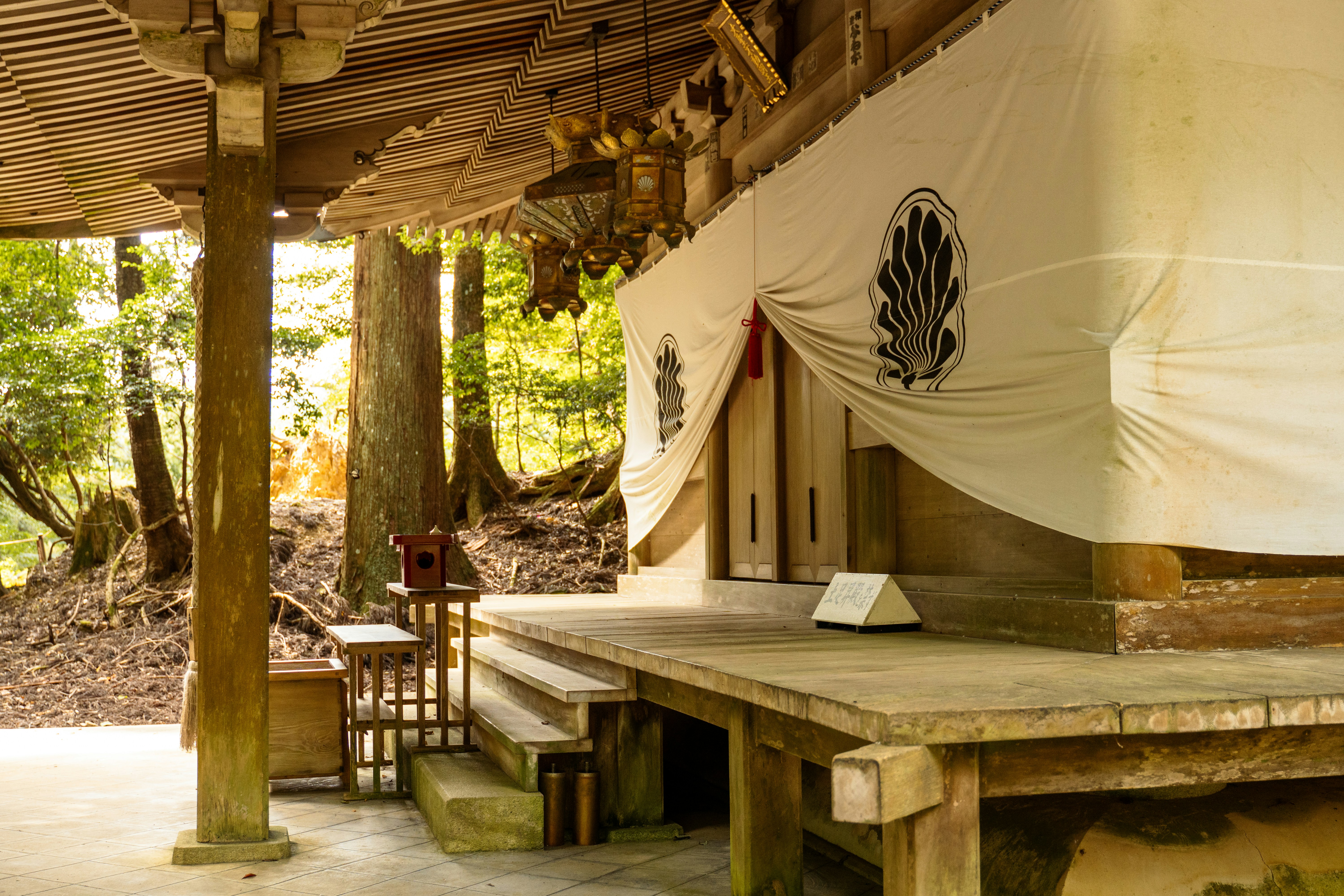 Local gourmet and wellness experiences in Kyushu