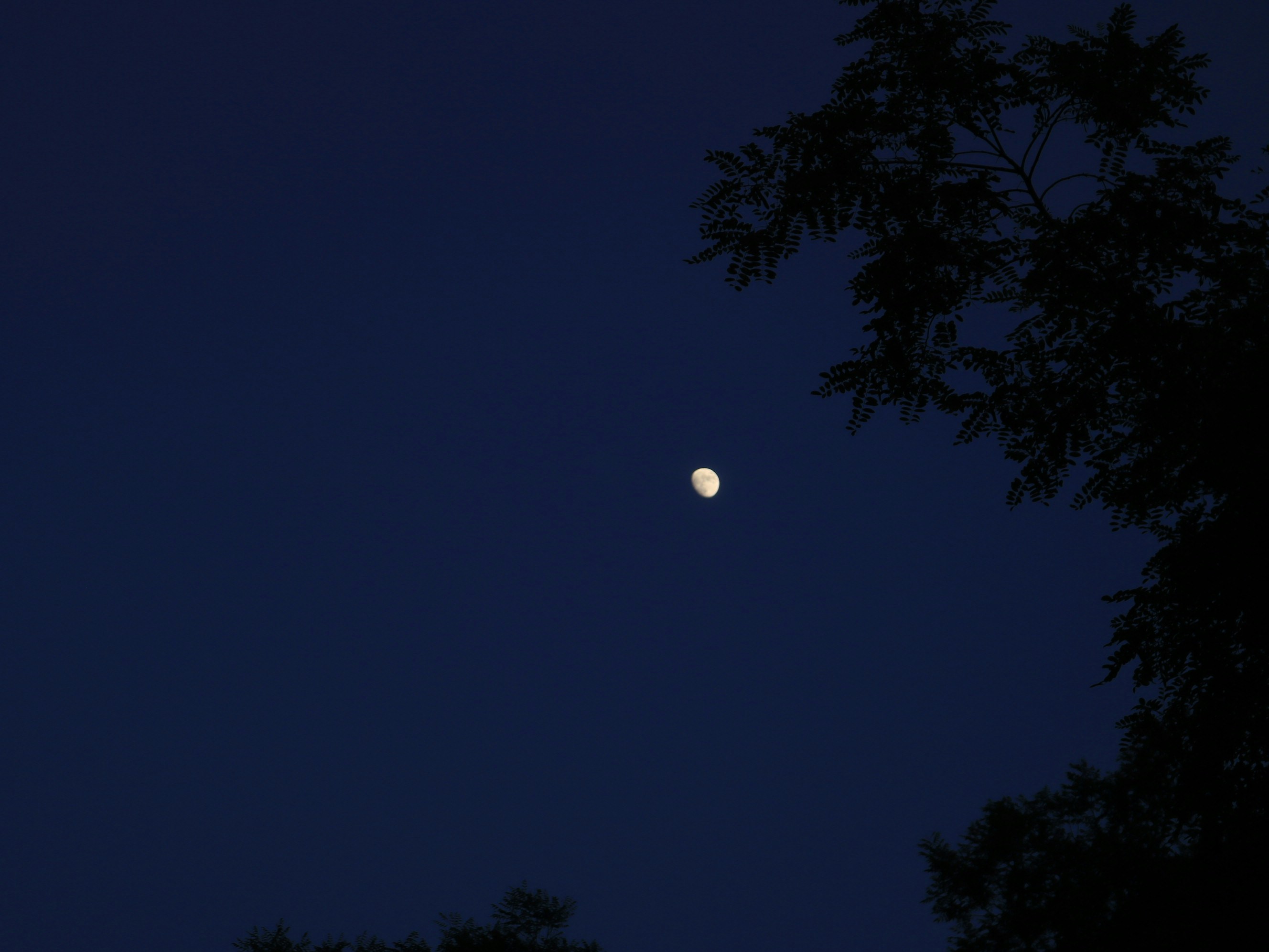 Photo by rithyacheng