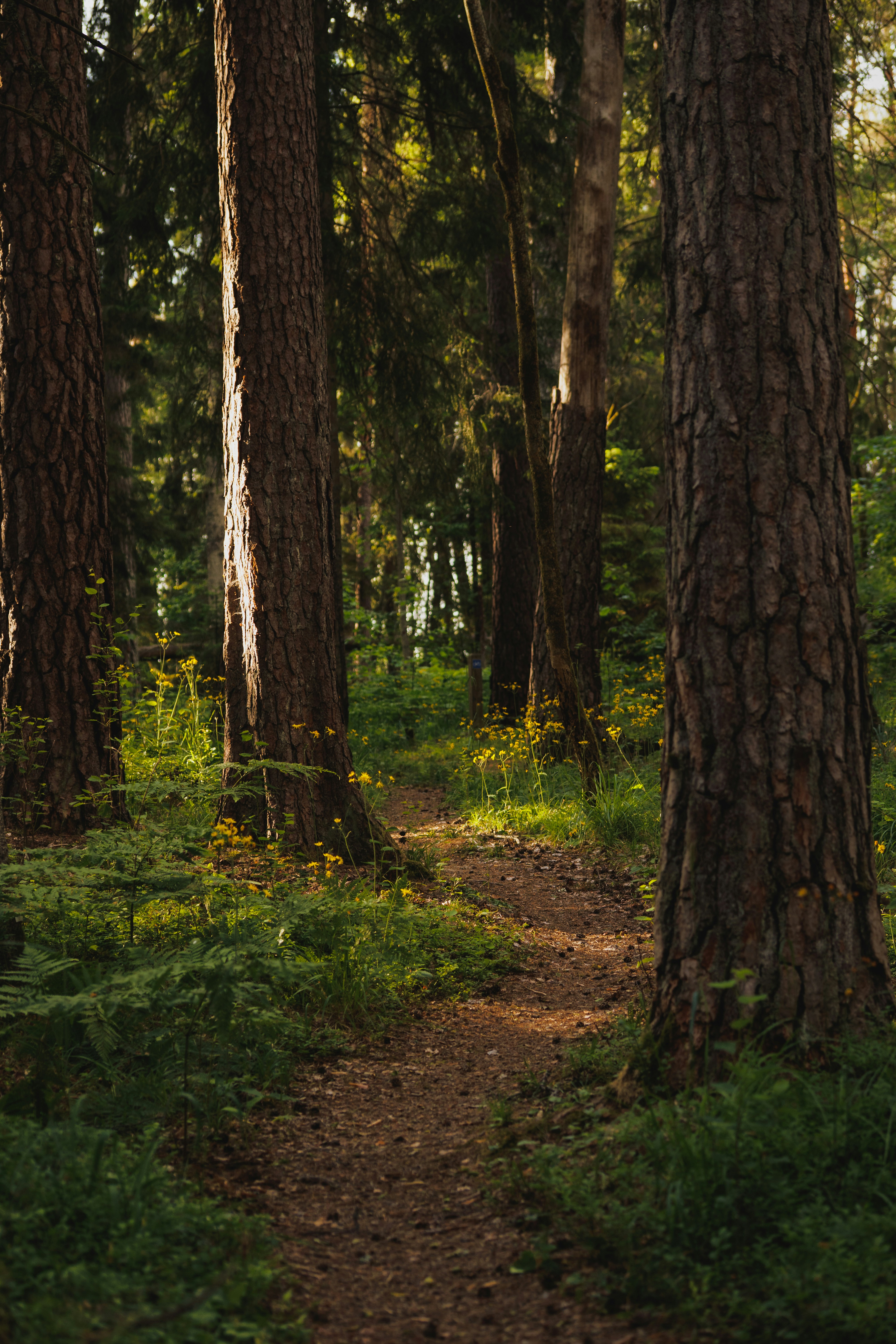 Photo by raedkasrawani