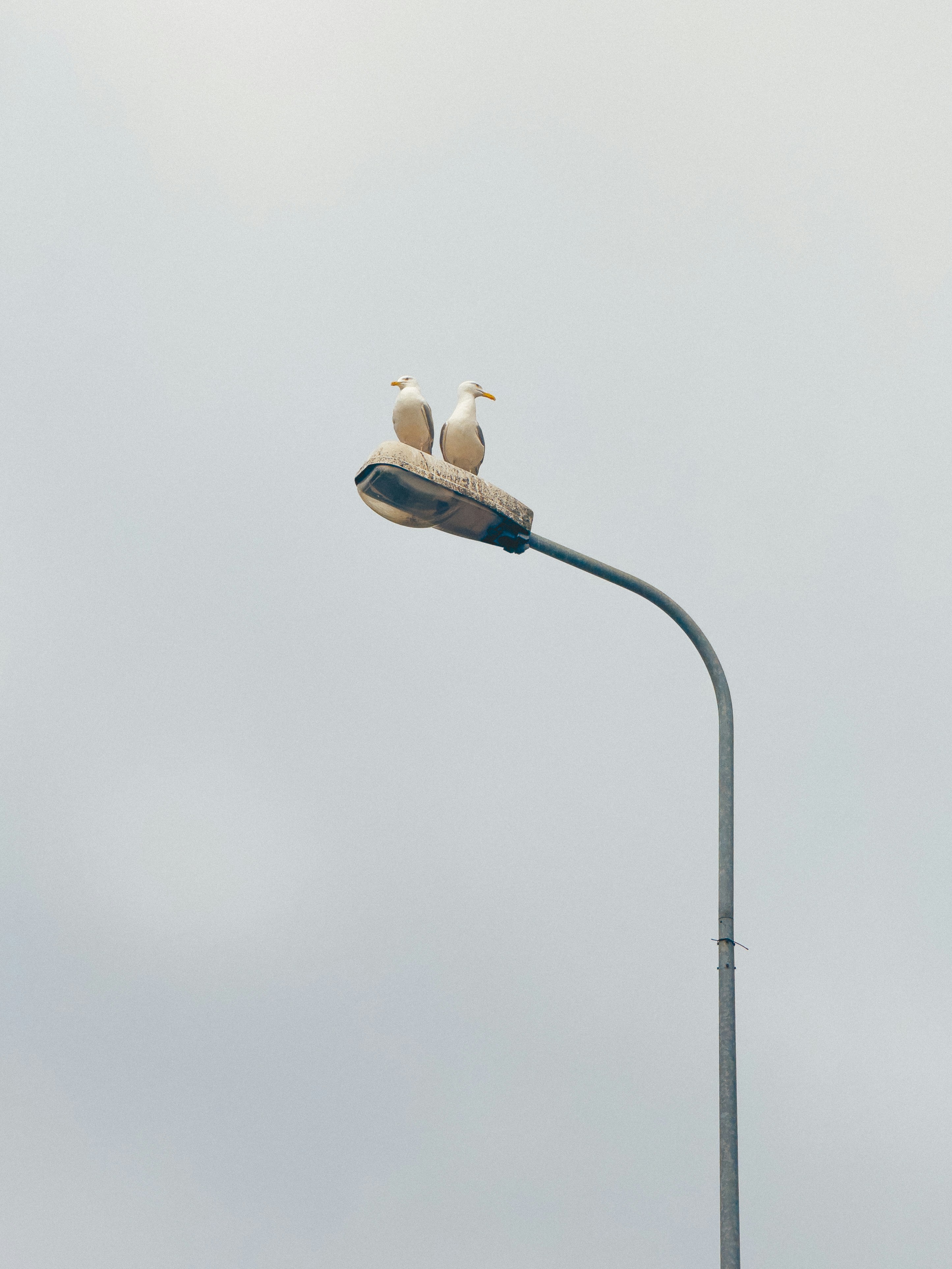 Liepāja – Day Trips & Surroundings