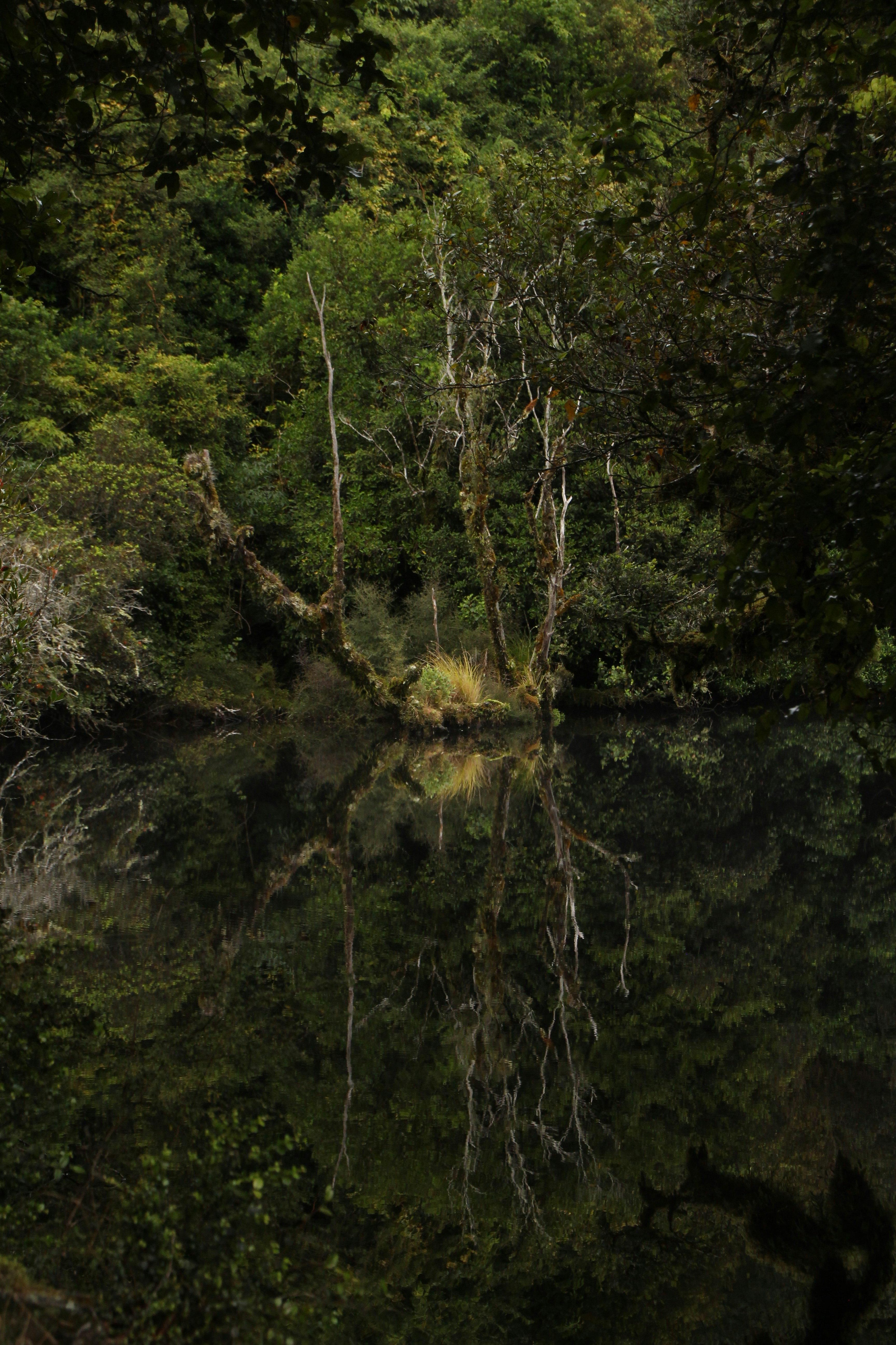 Photo by magnetification