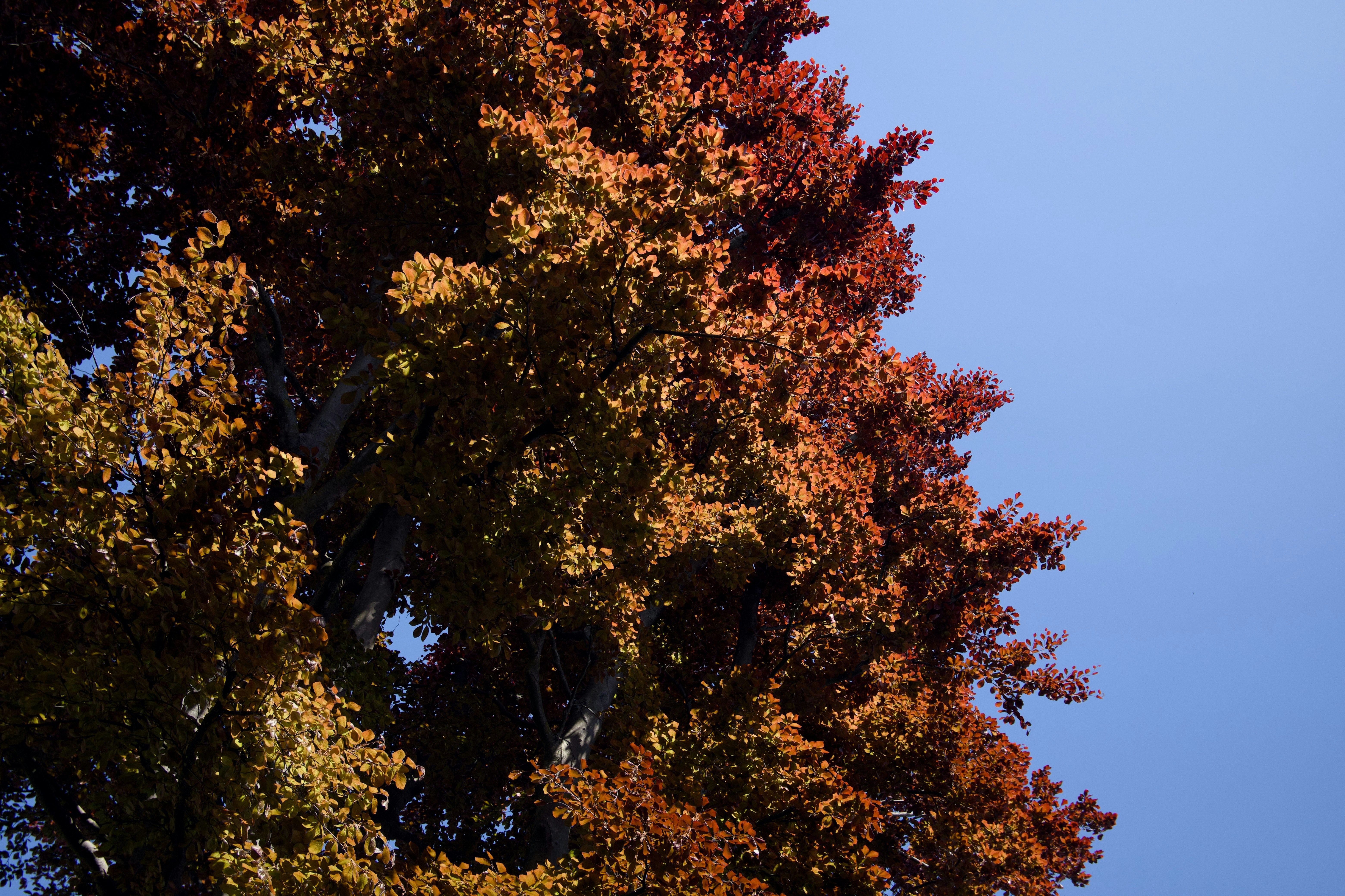 Photo by ashleygorringe