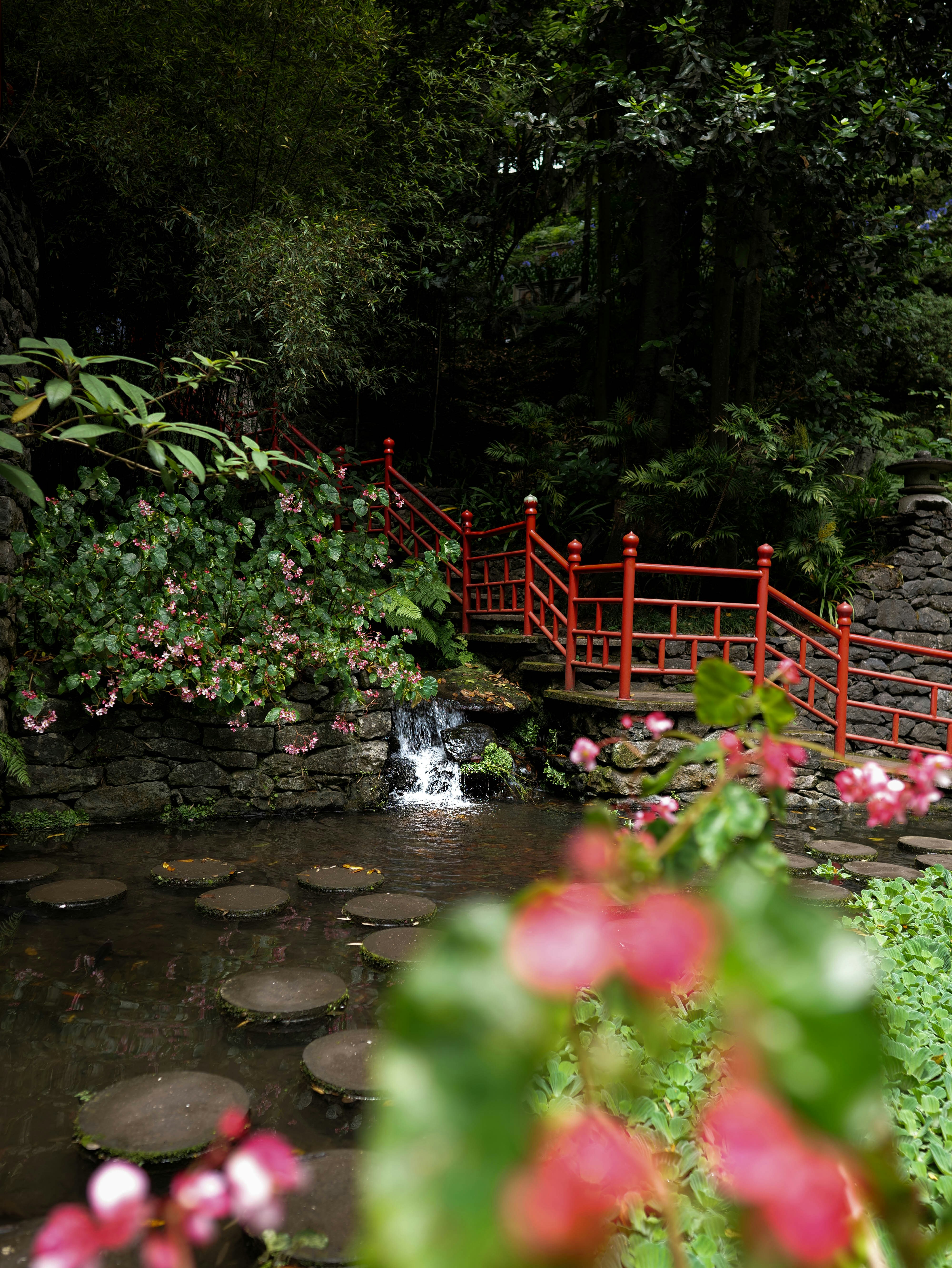 A serene japanese garden scene with red accents.