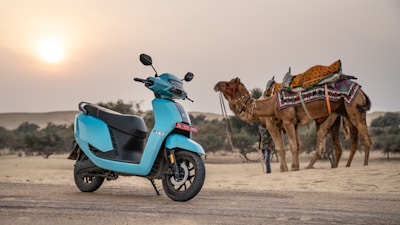 Scooter and camels in the desert at sunset.