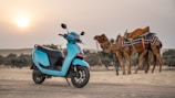 Scooter and camels in the desert at sunset.