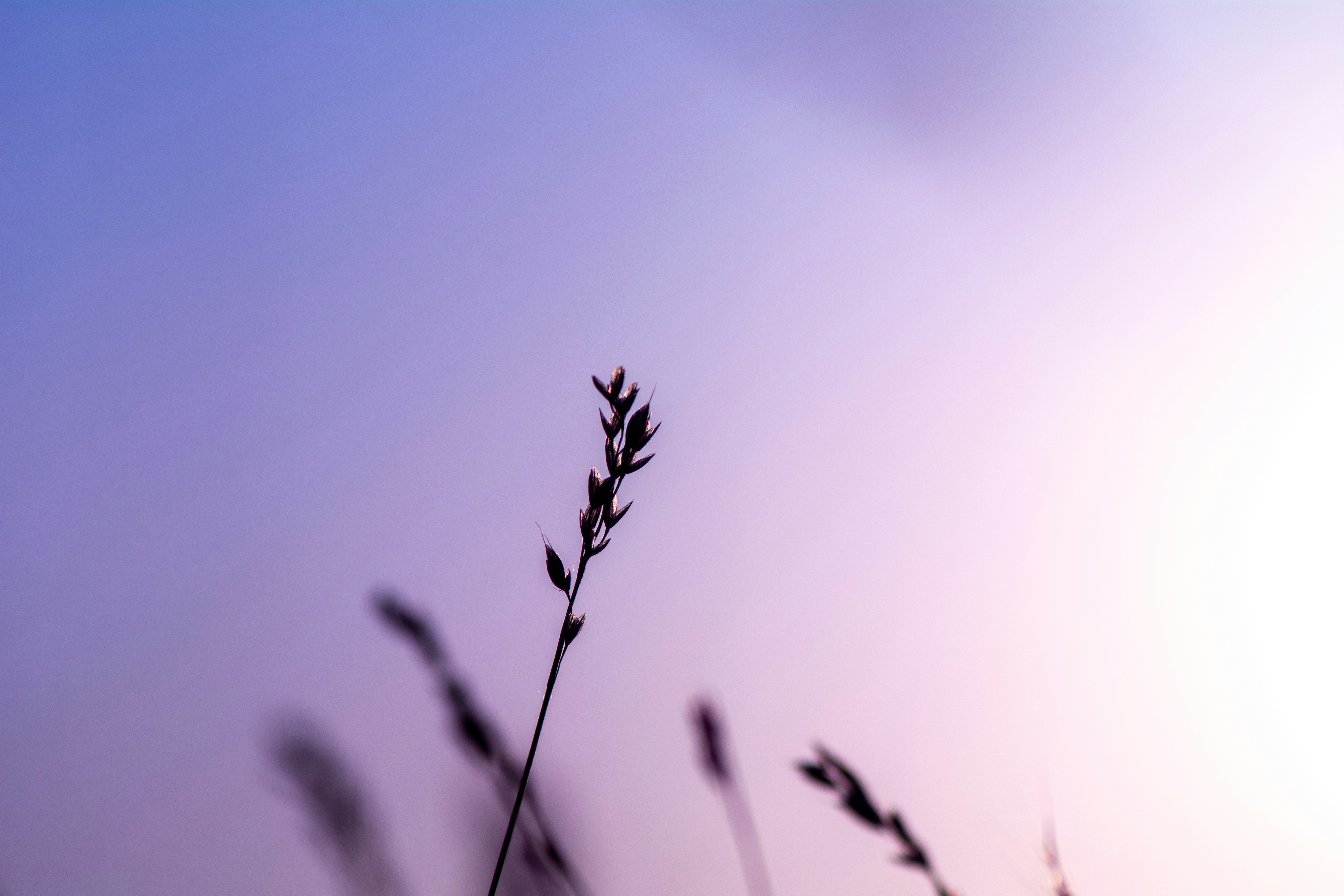 Photo by cerneigabriel