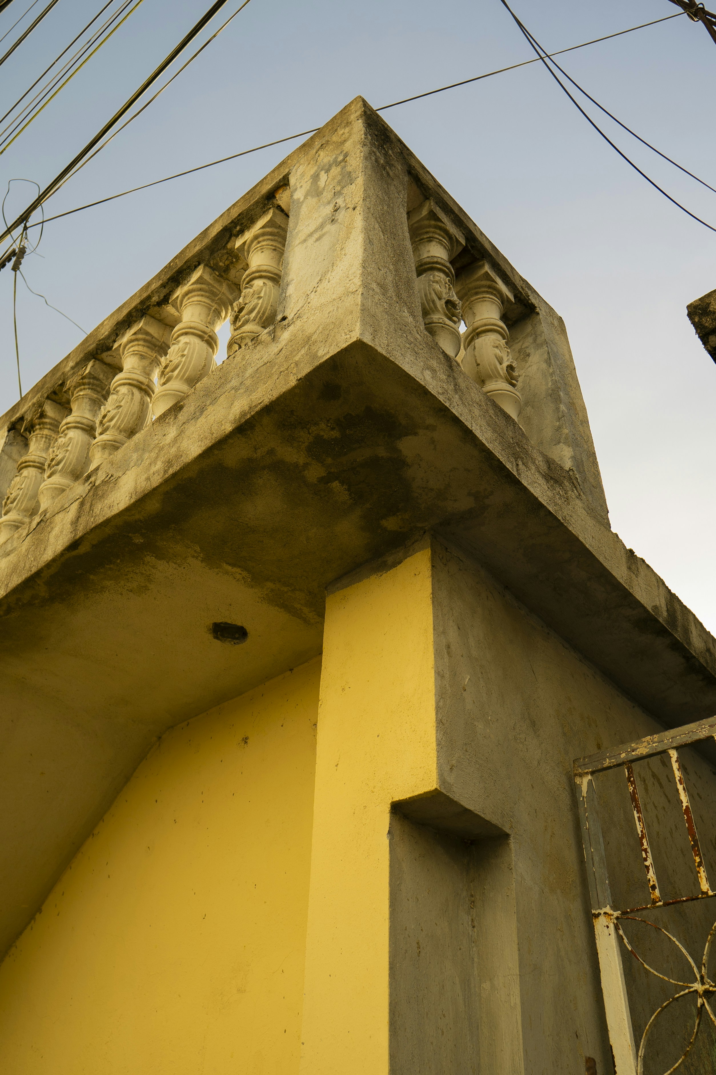 Photo by miguelphoto