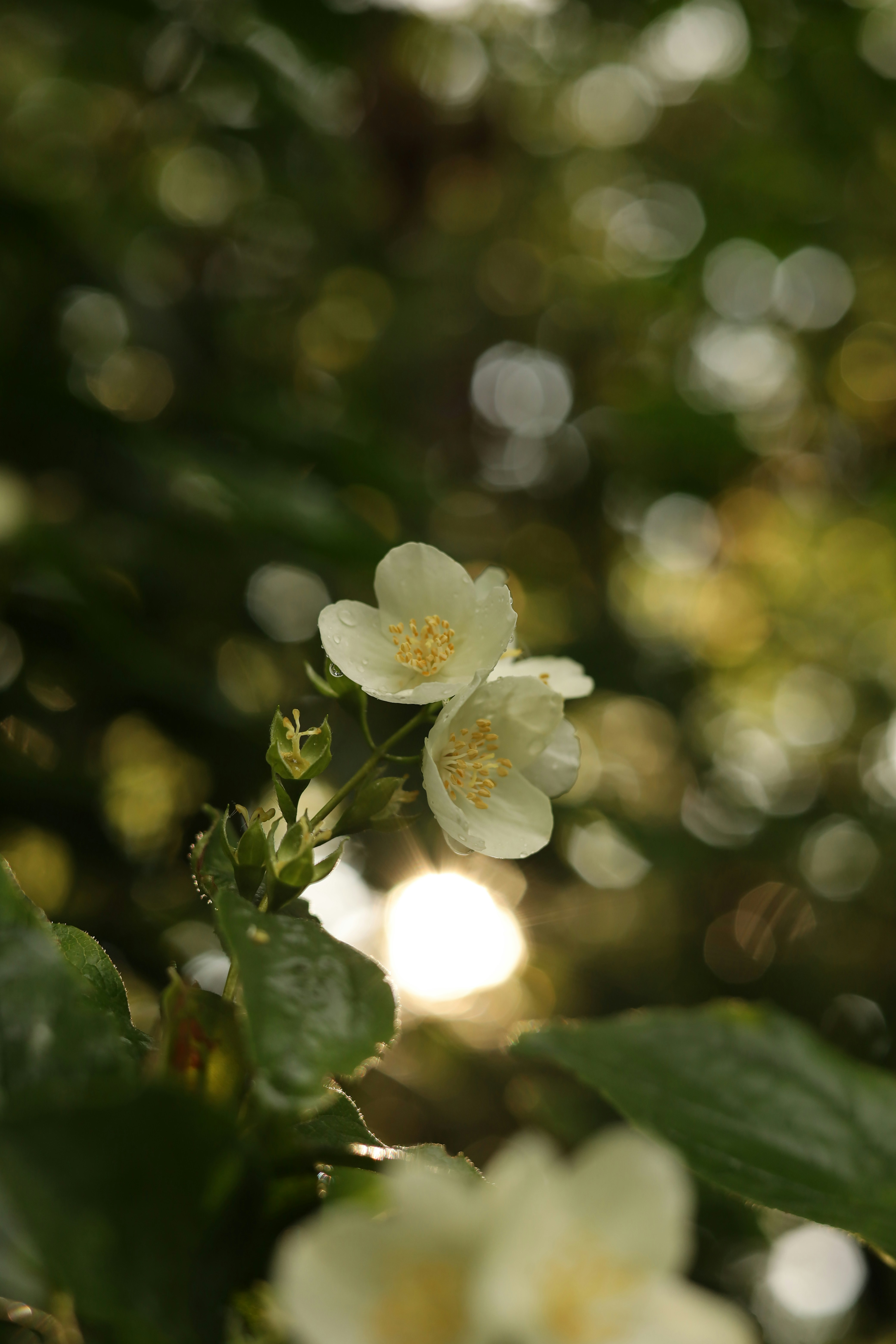 Photo by dariabiriukova