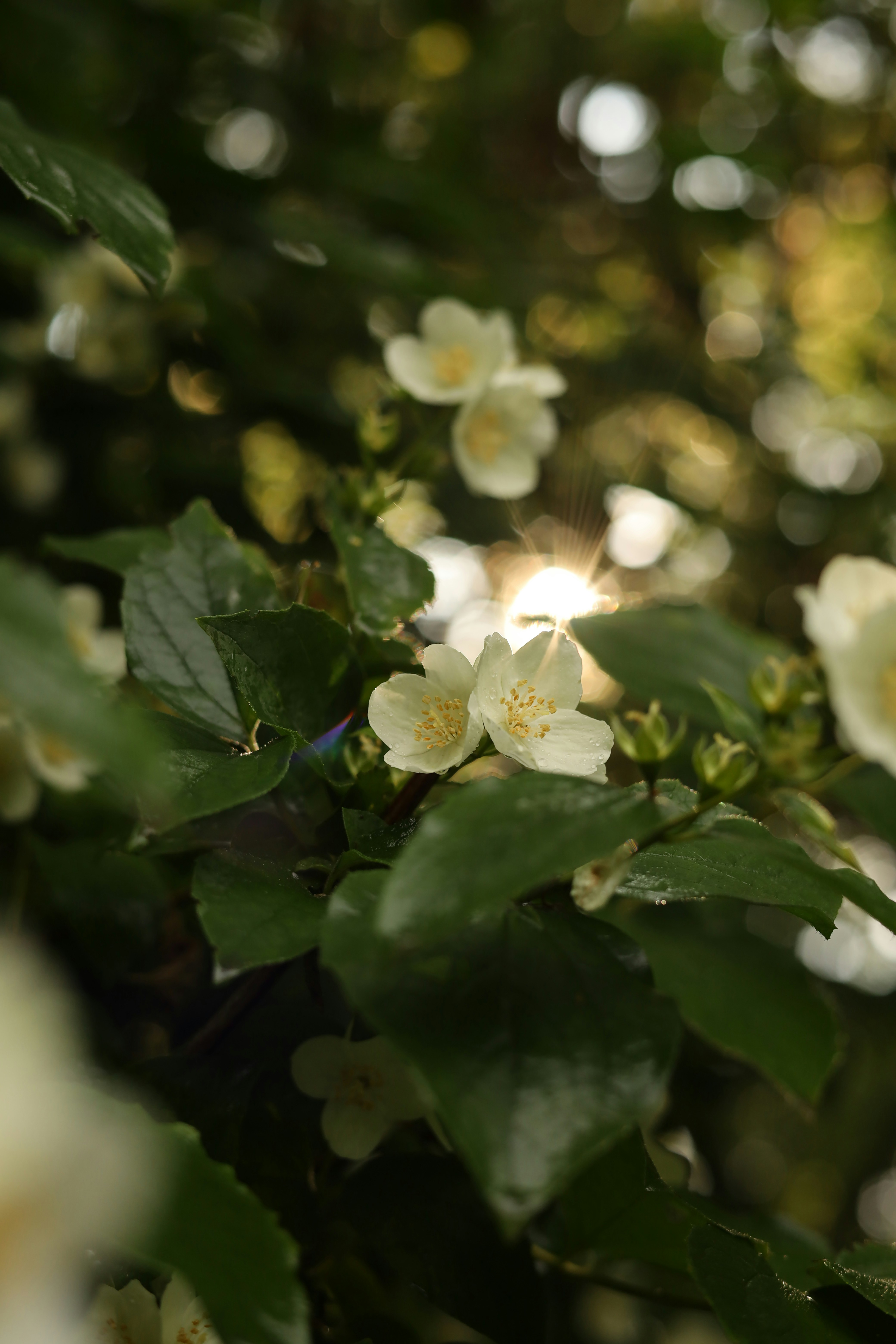 Photo by dariabiriukova