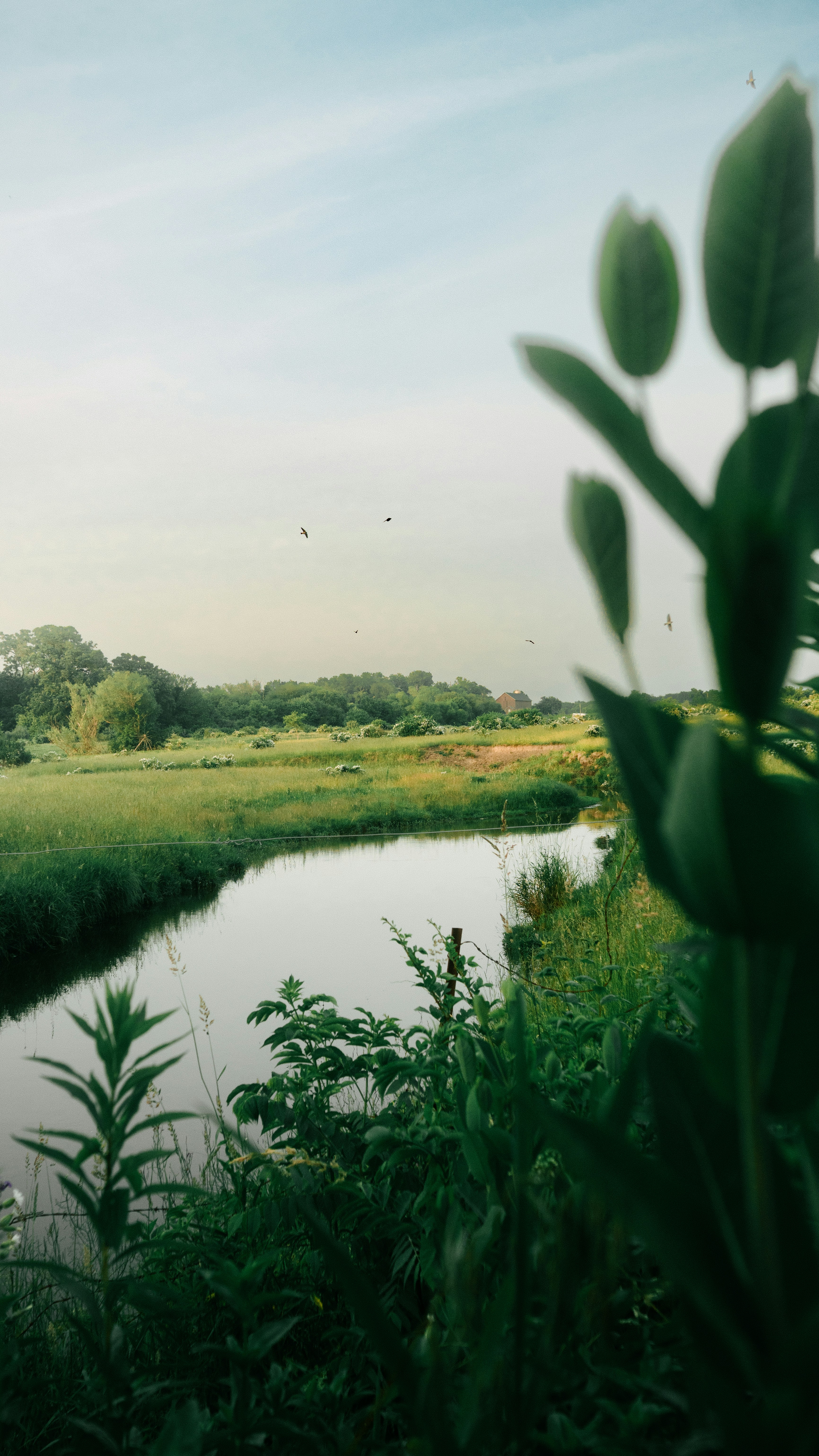 Photo by chris_lynch_