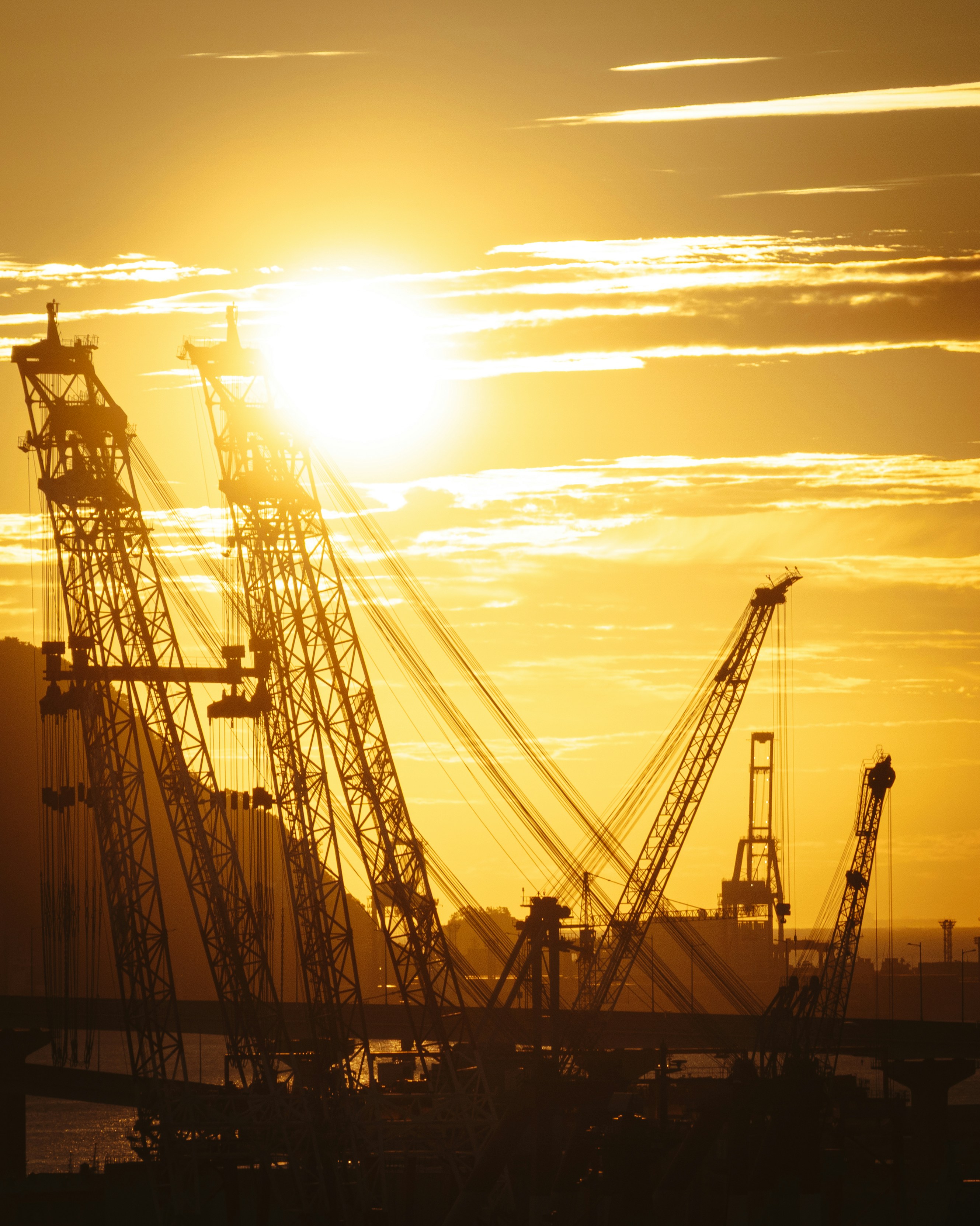 Photo by digital_m_art_in