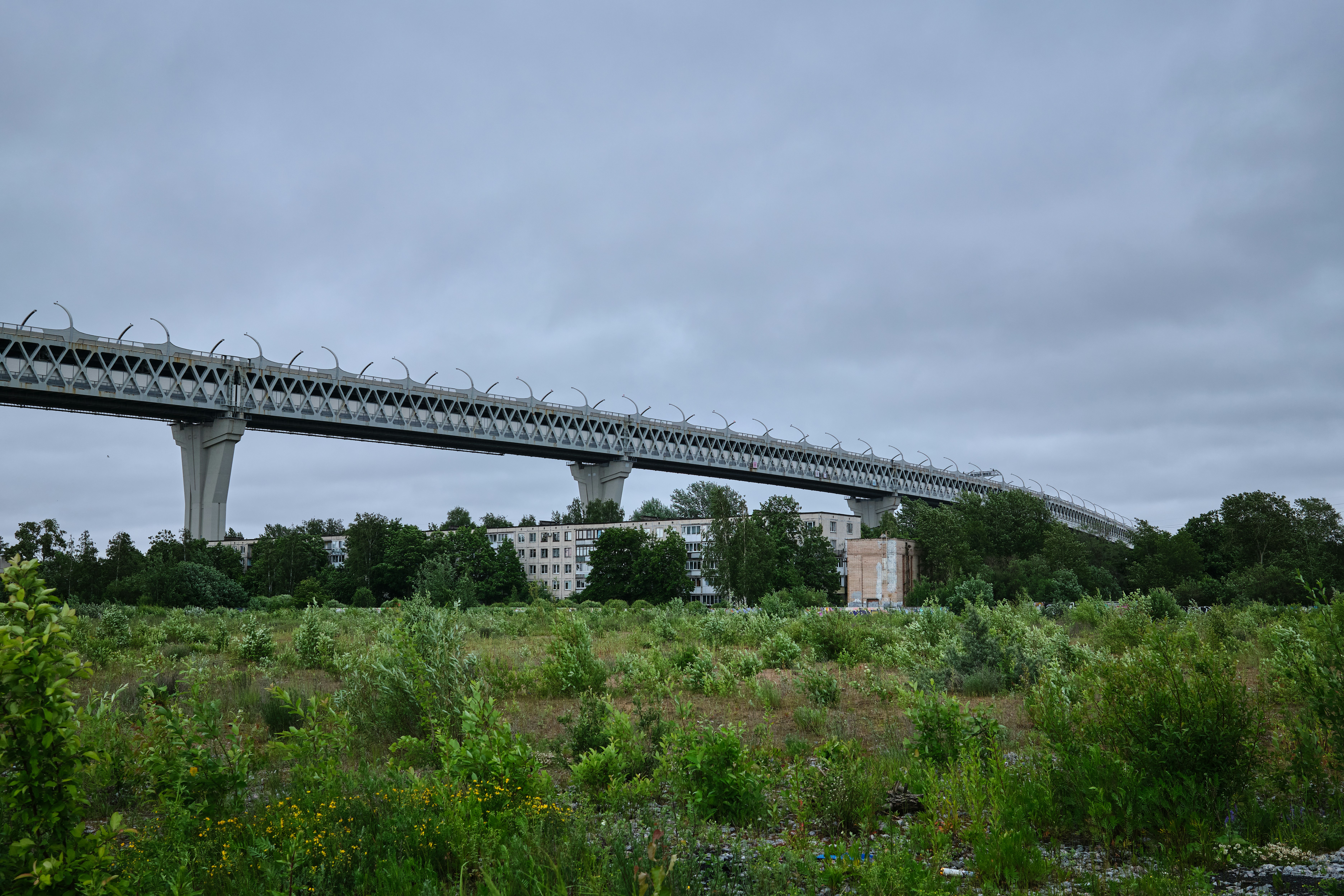 Elevated highway stretches across the sky.