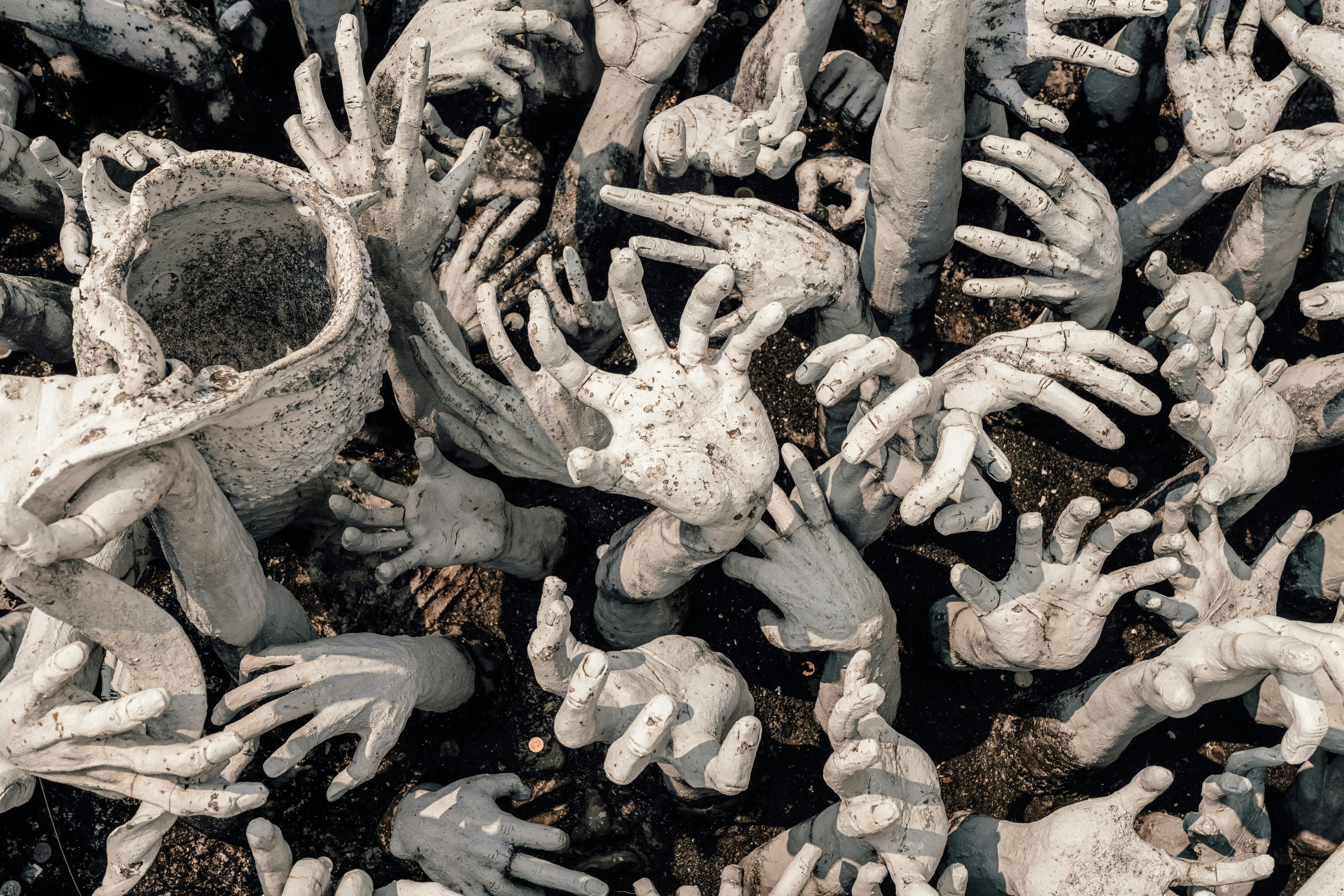 Photo by limamauro23