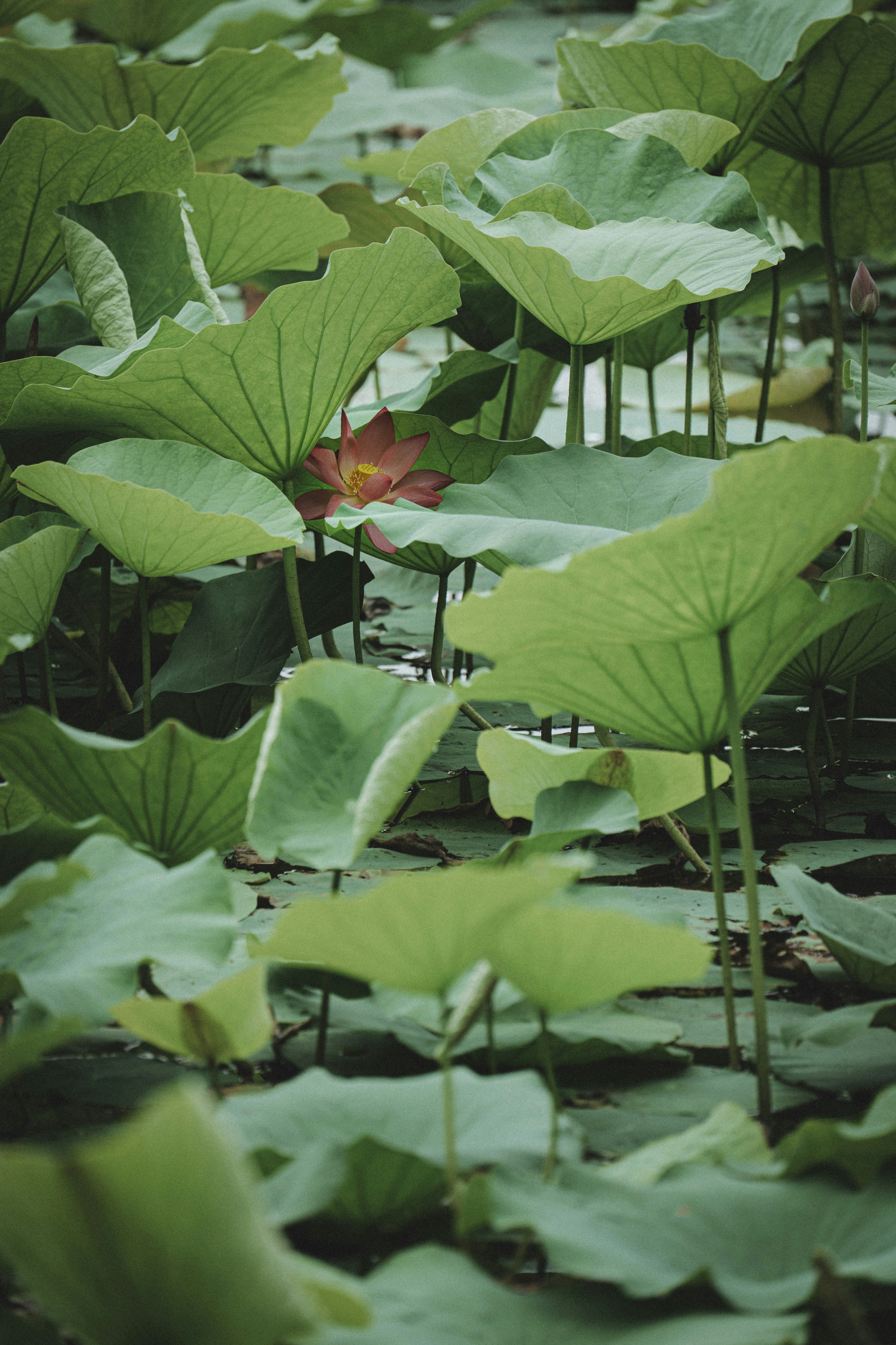 Photo by jackyfish_image