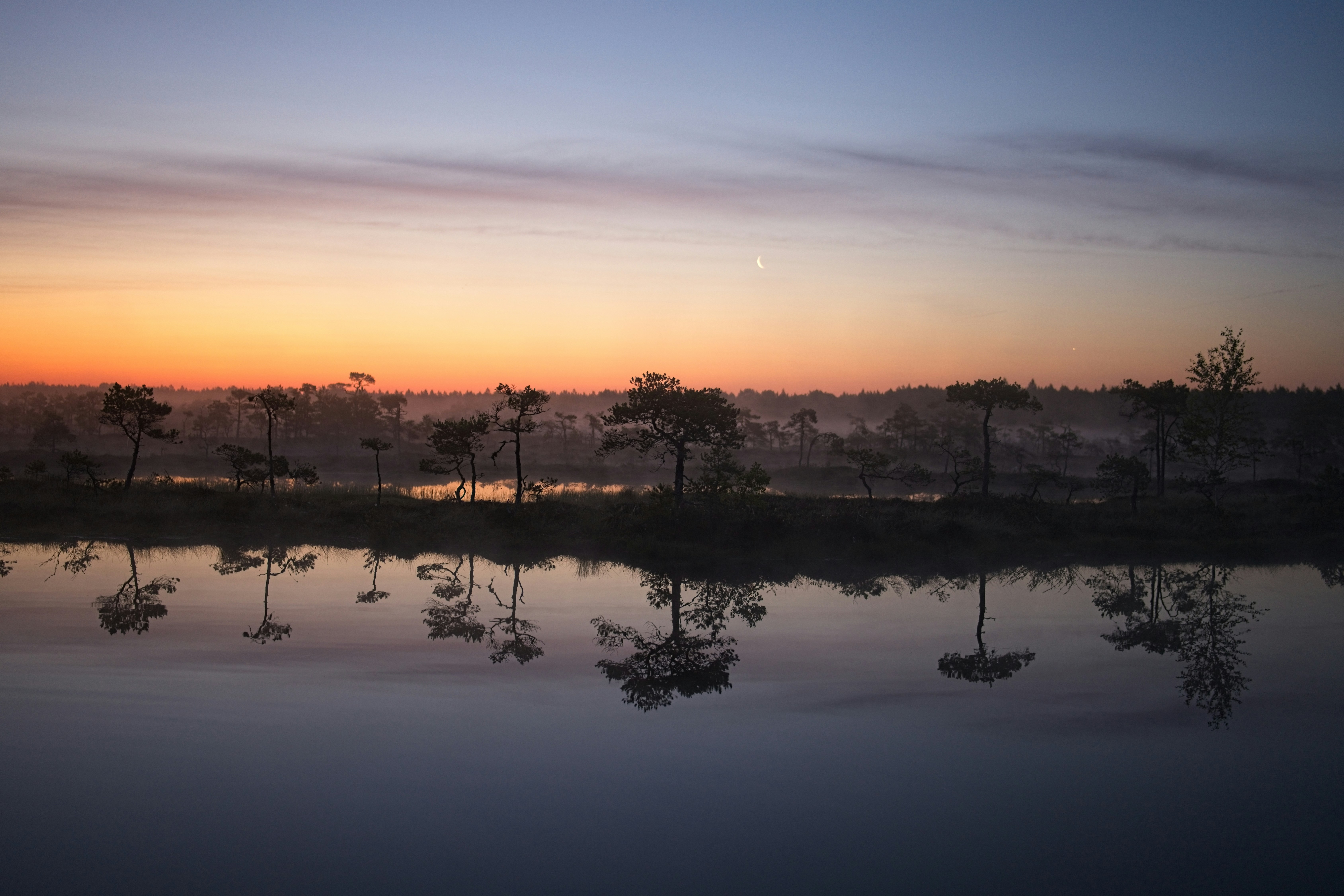 Sunrise reflects on a calm lake with trees.