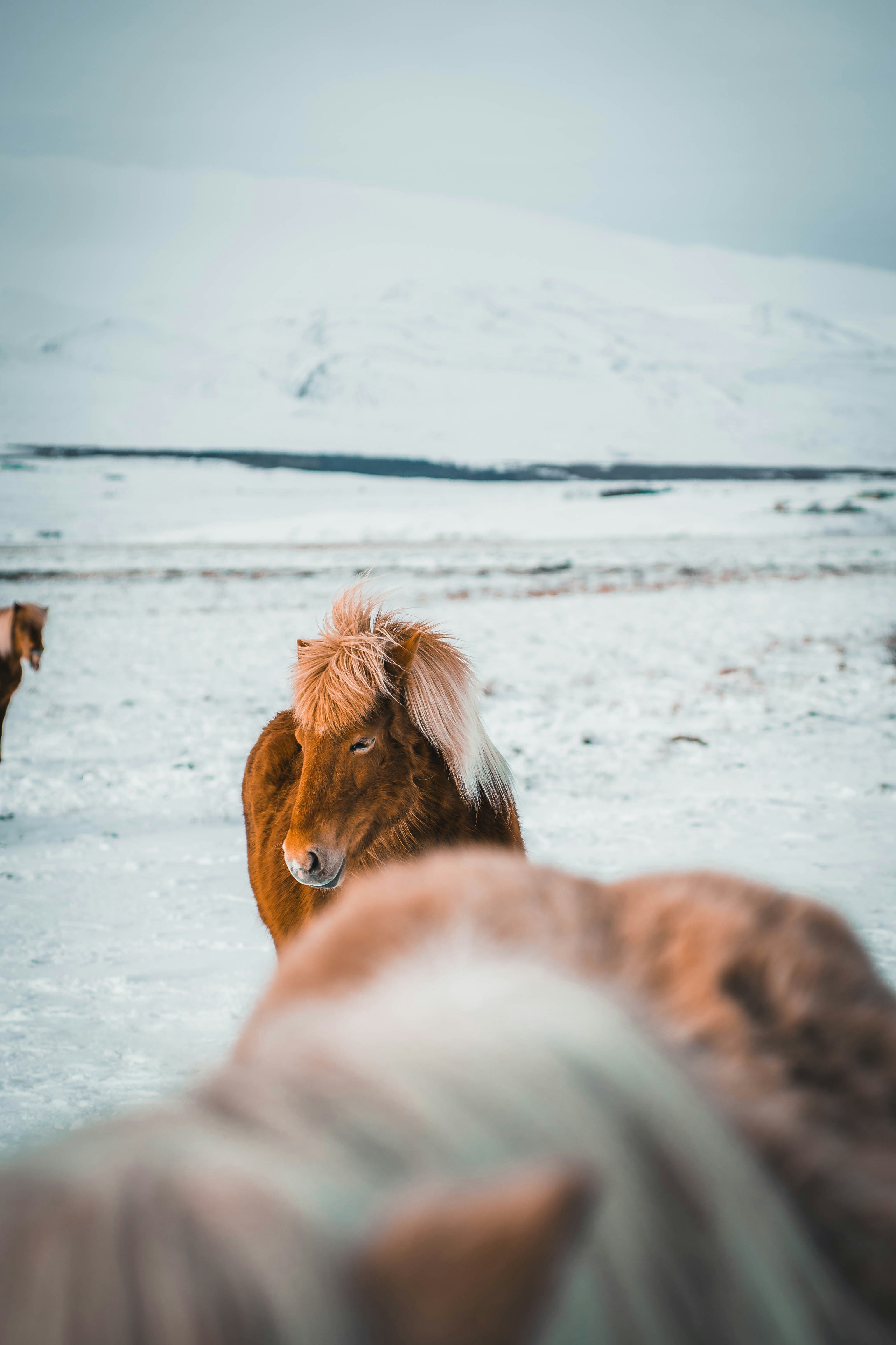 Photo by jonasdegener