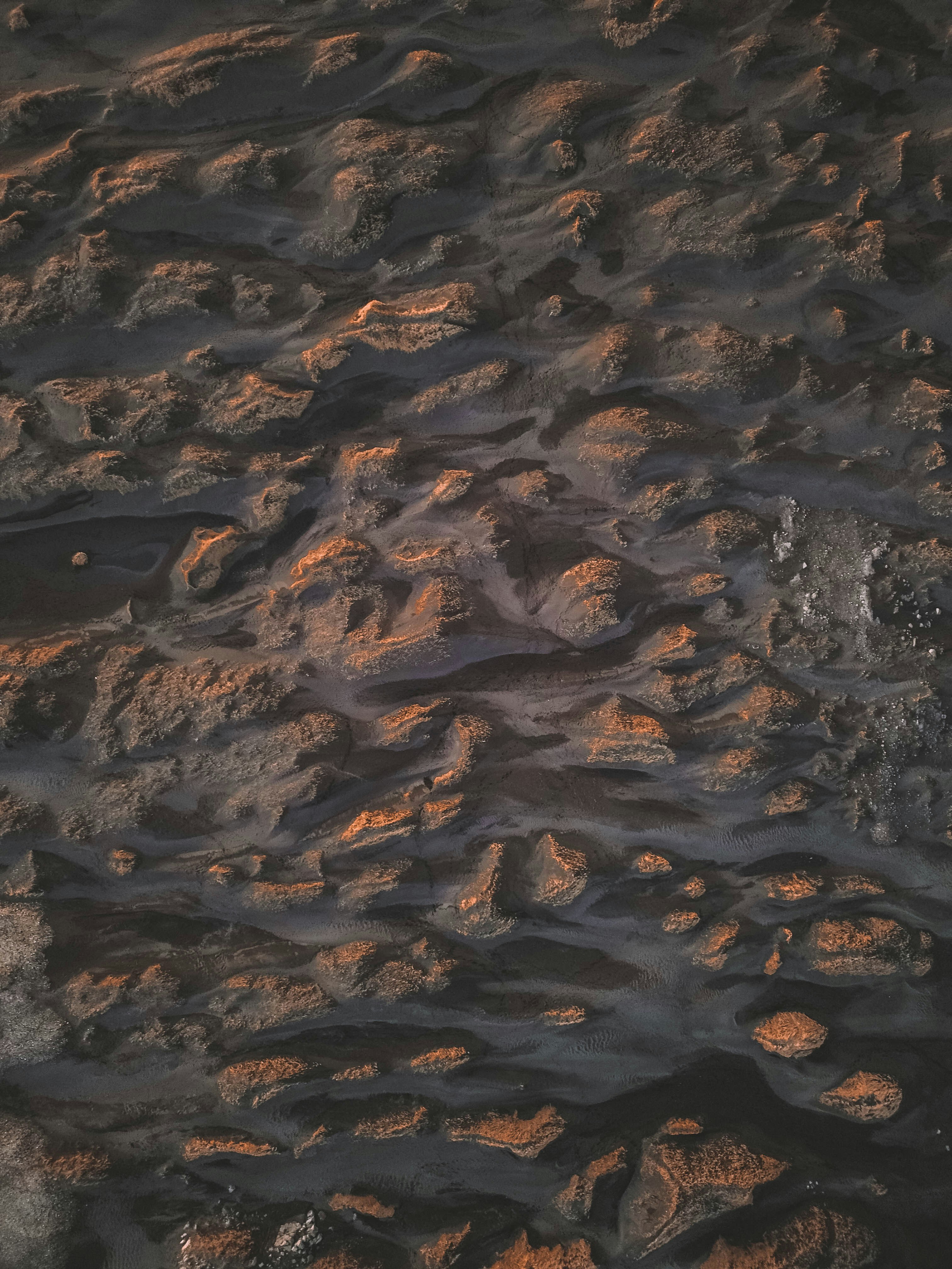 Photo by jonasdegener