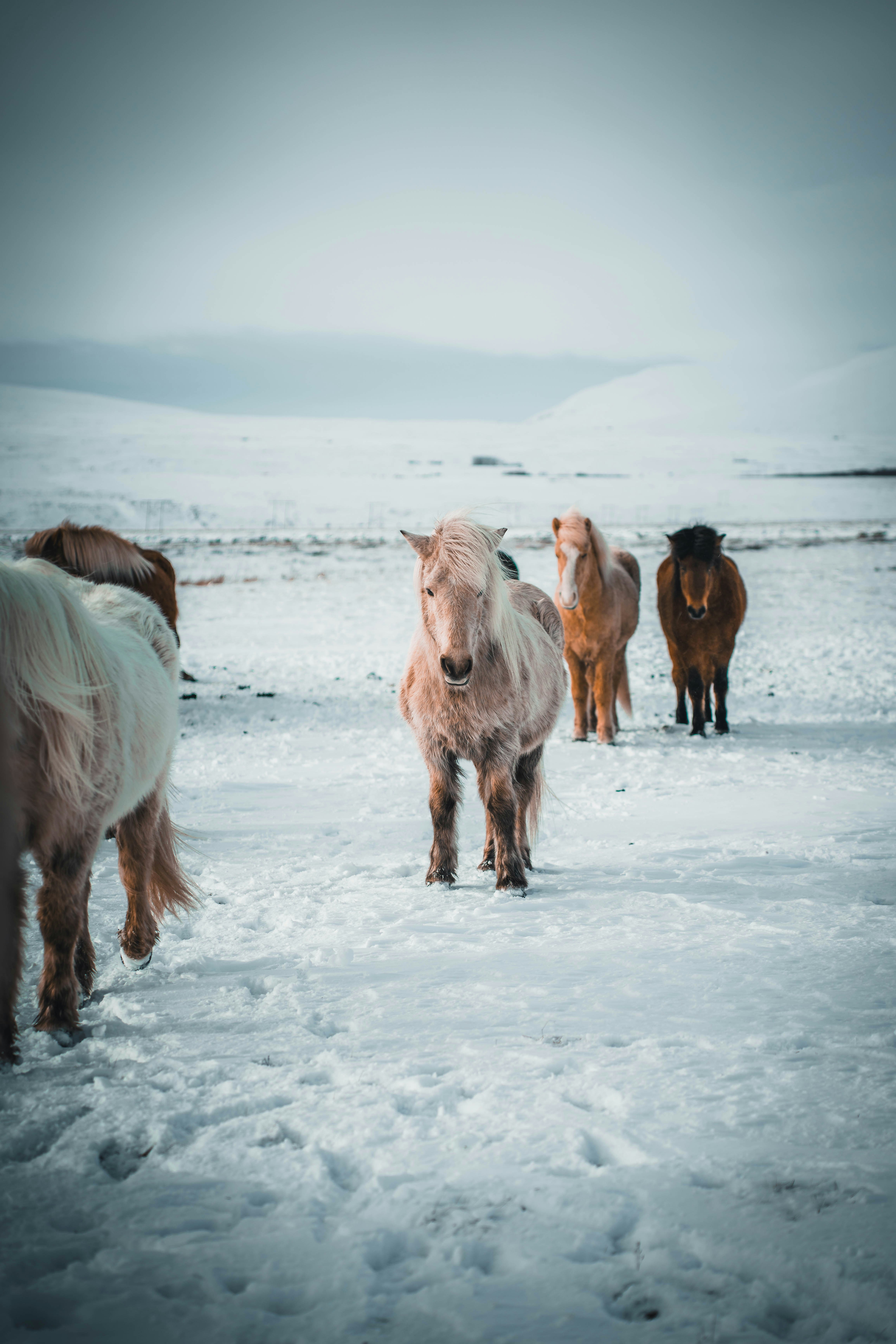 Photo by jonasdegener