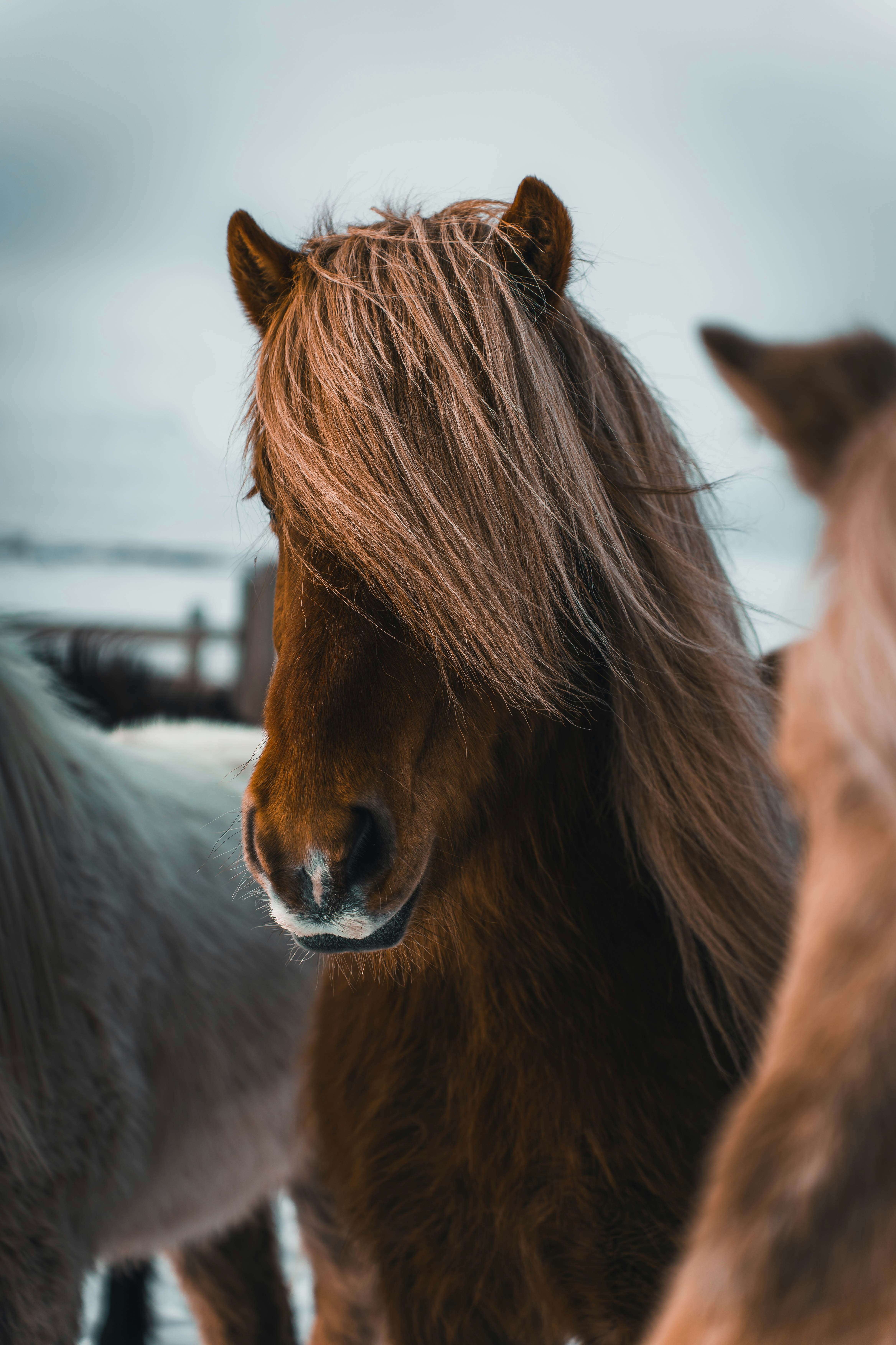 Photo by jonasdegener