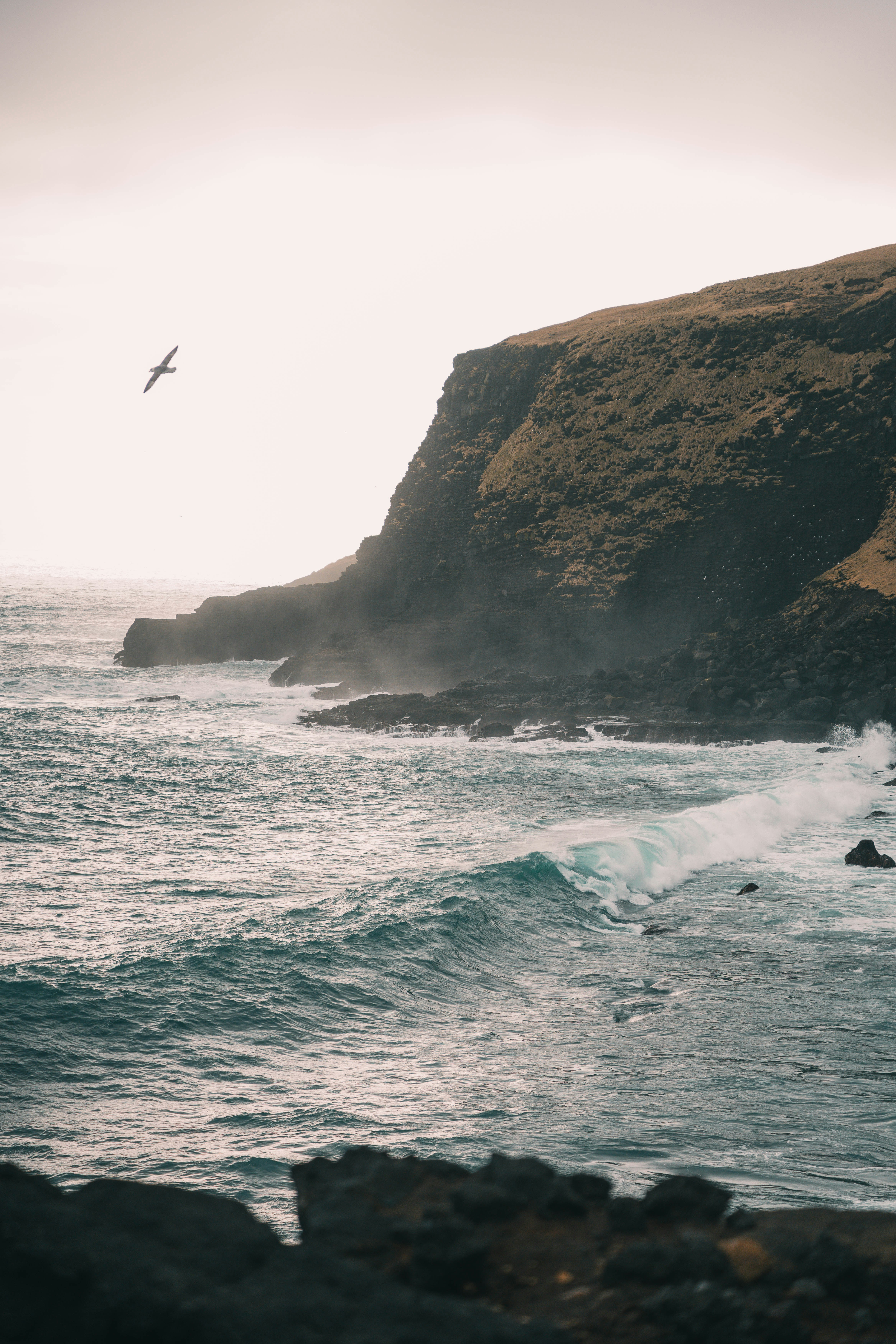 Photo by jonasdegener