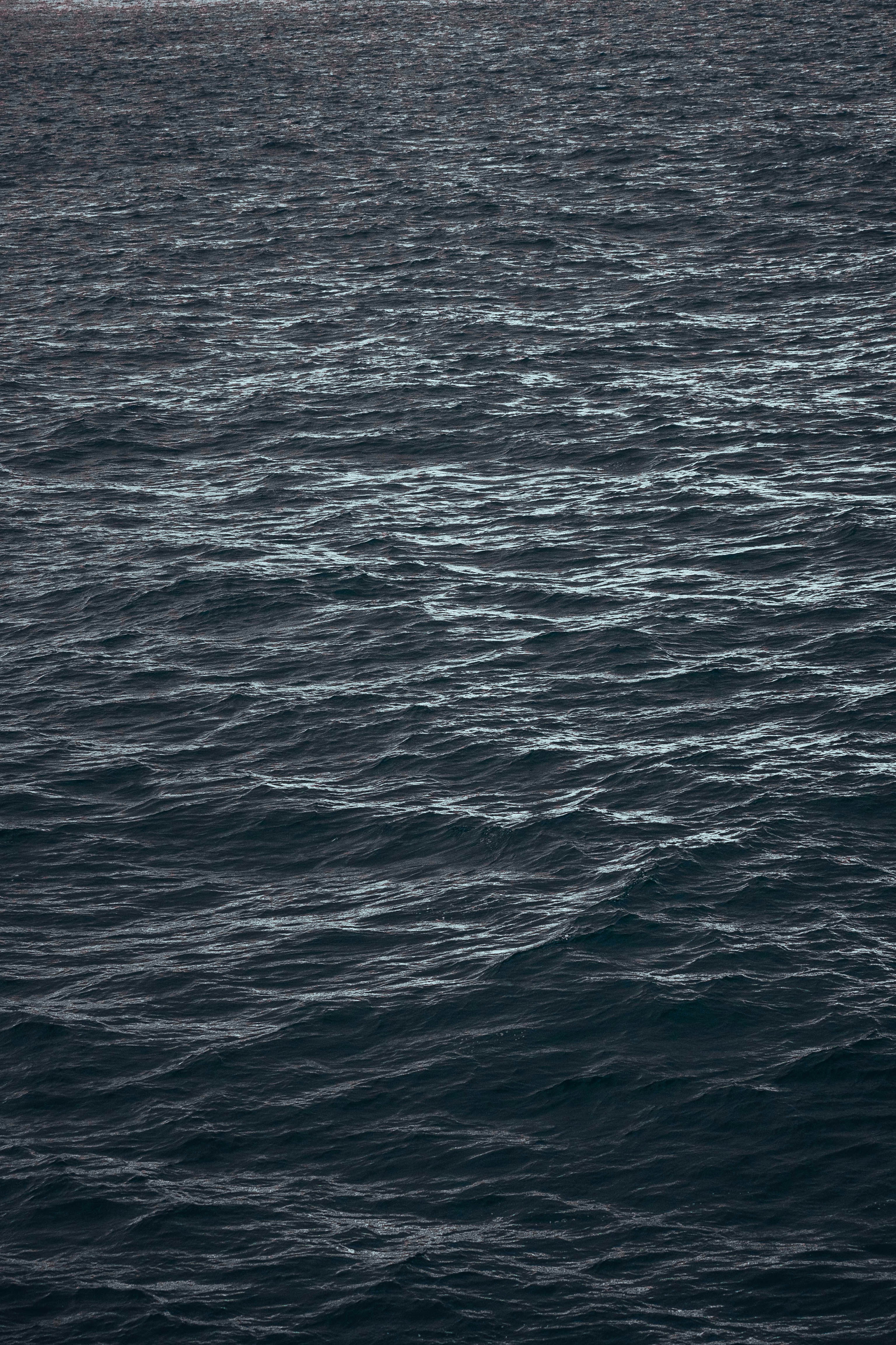 Photo by jonasdegener