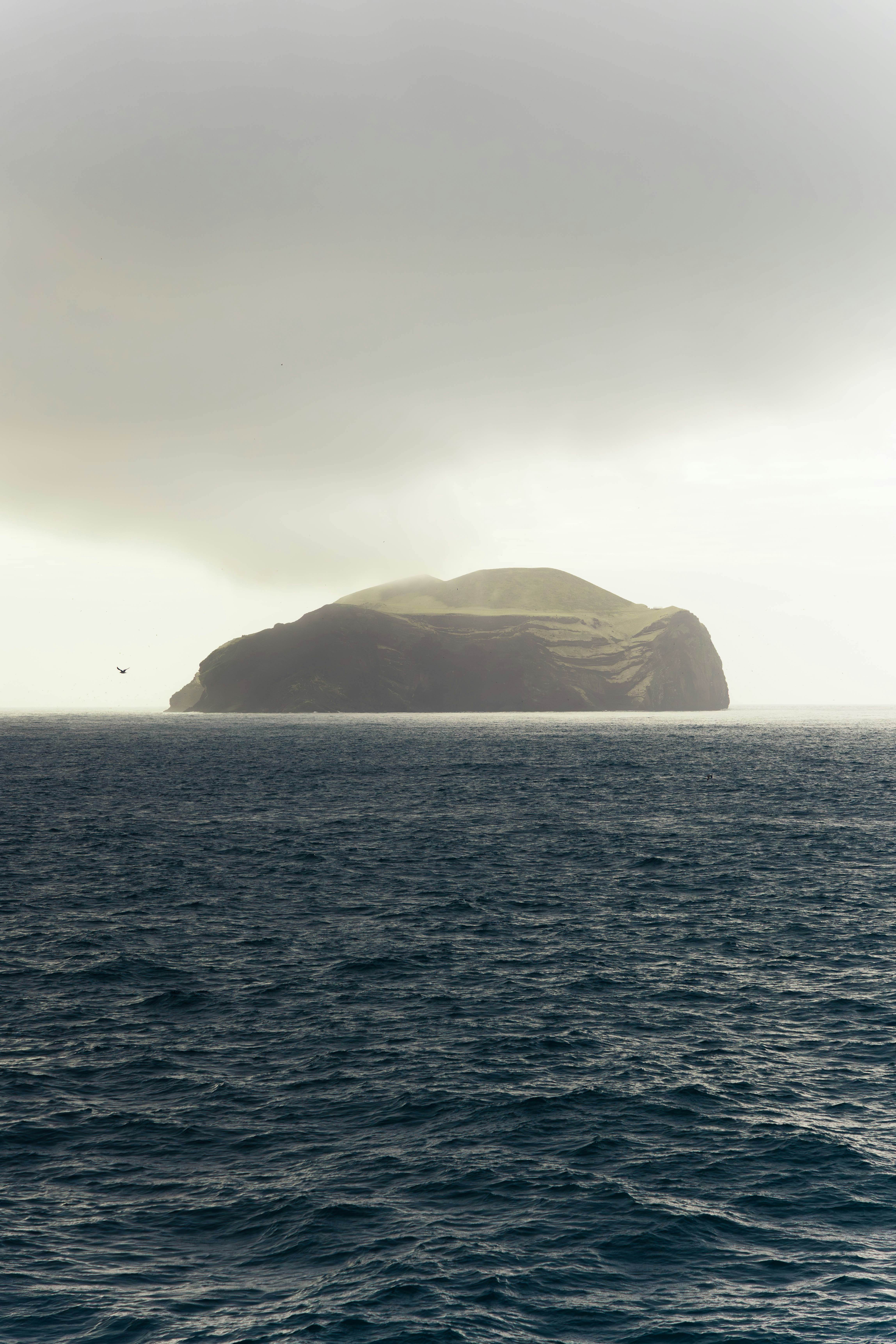 Photo by jonasdegener