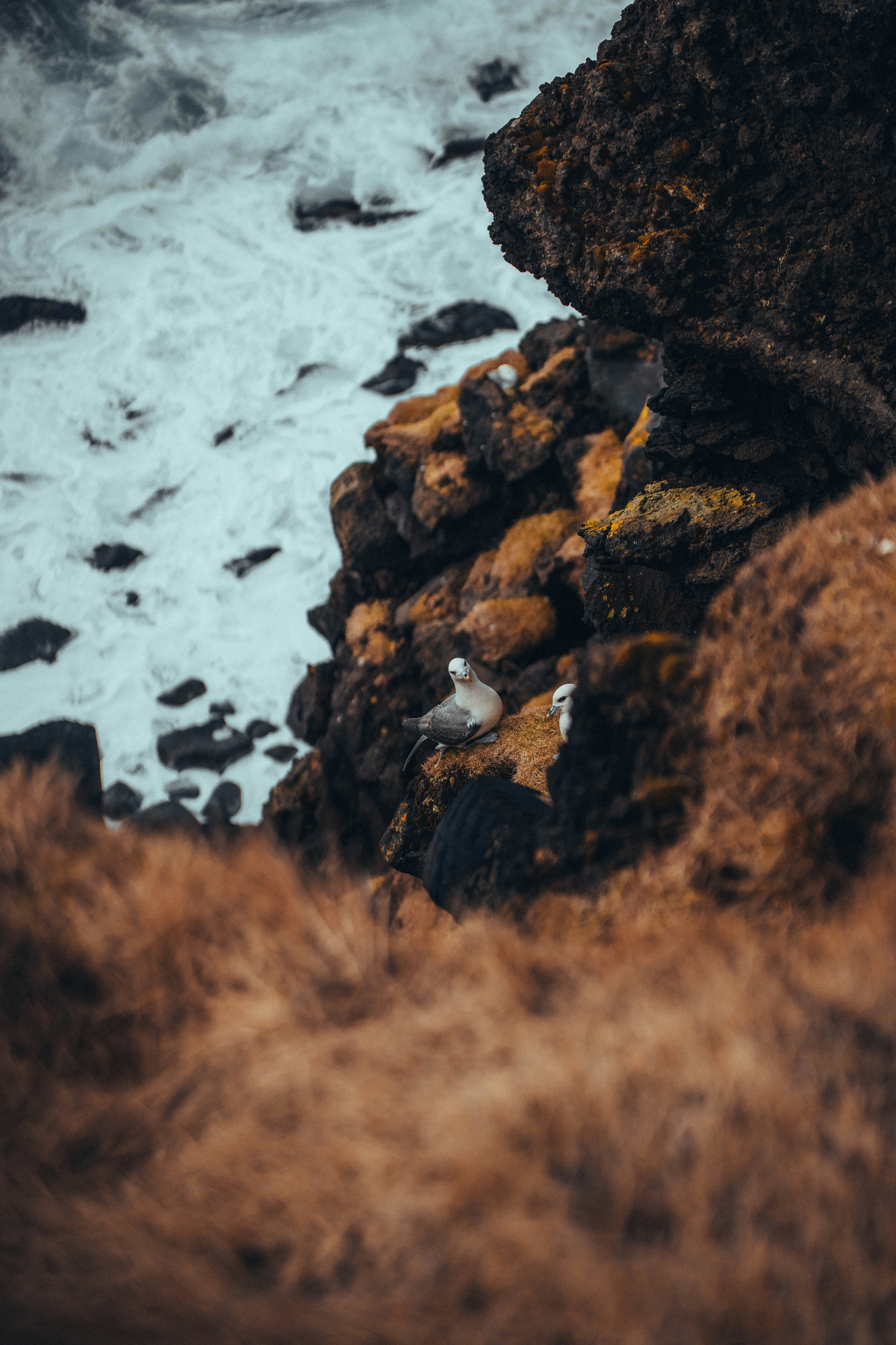 Photo by jonasdegener