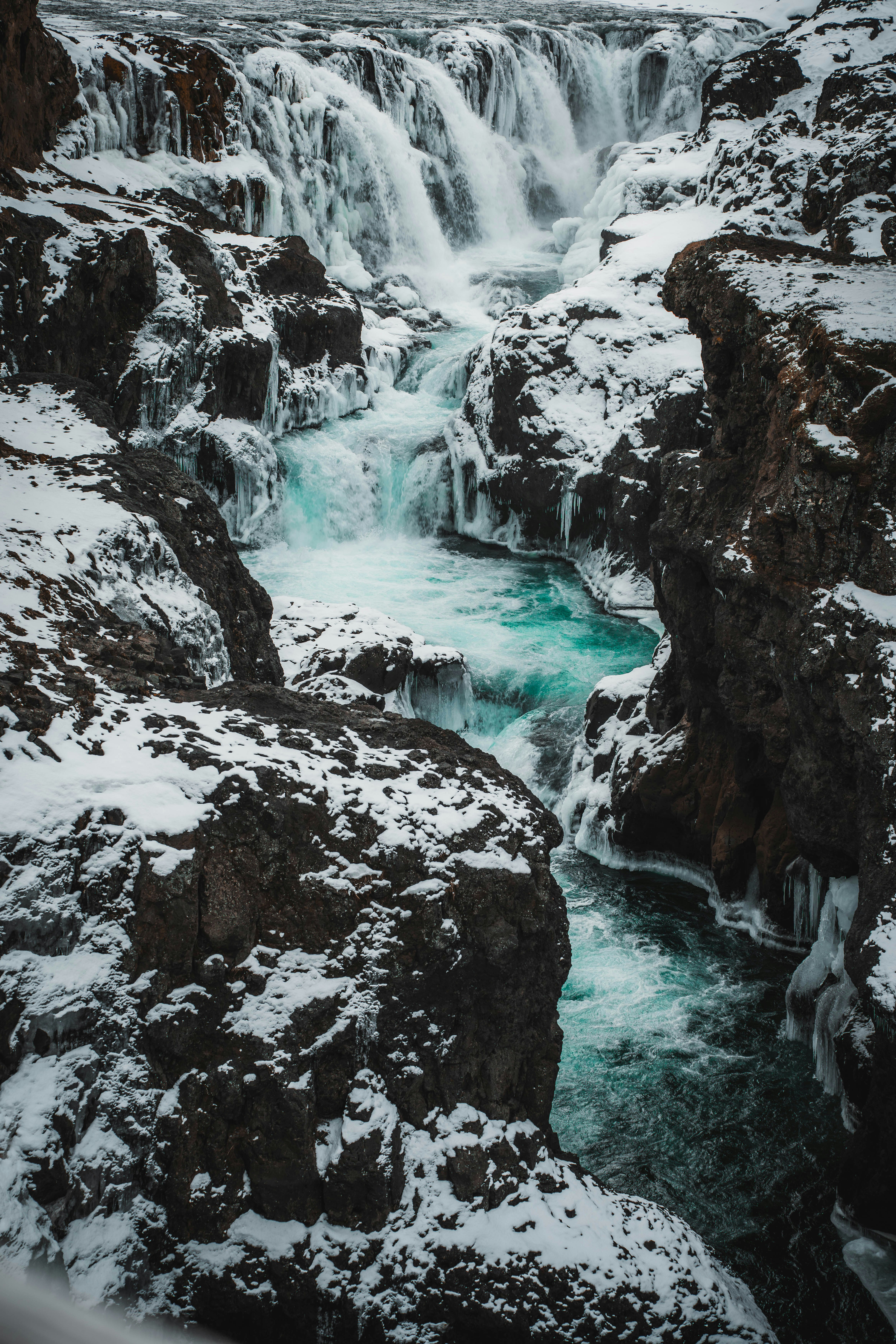 Una cascada invernal fluye a través de rocas nevadas. foto – Imagen de  Animal gratuita en Unsplash, image size:3000x4500