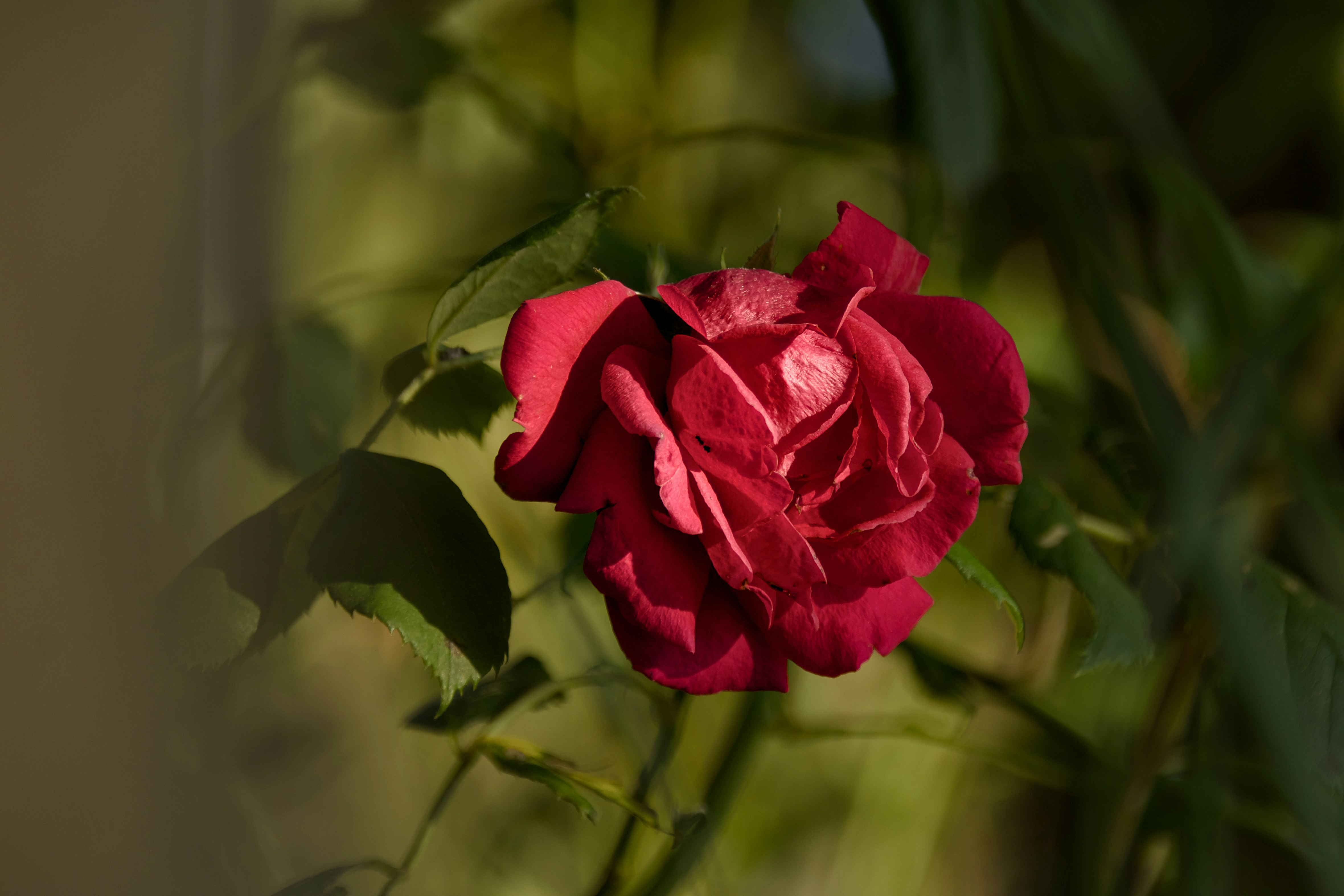 Photo by mariobeducci