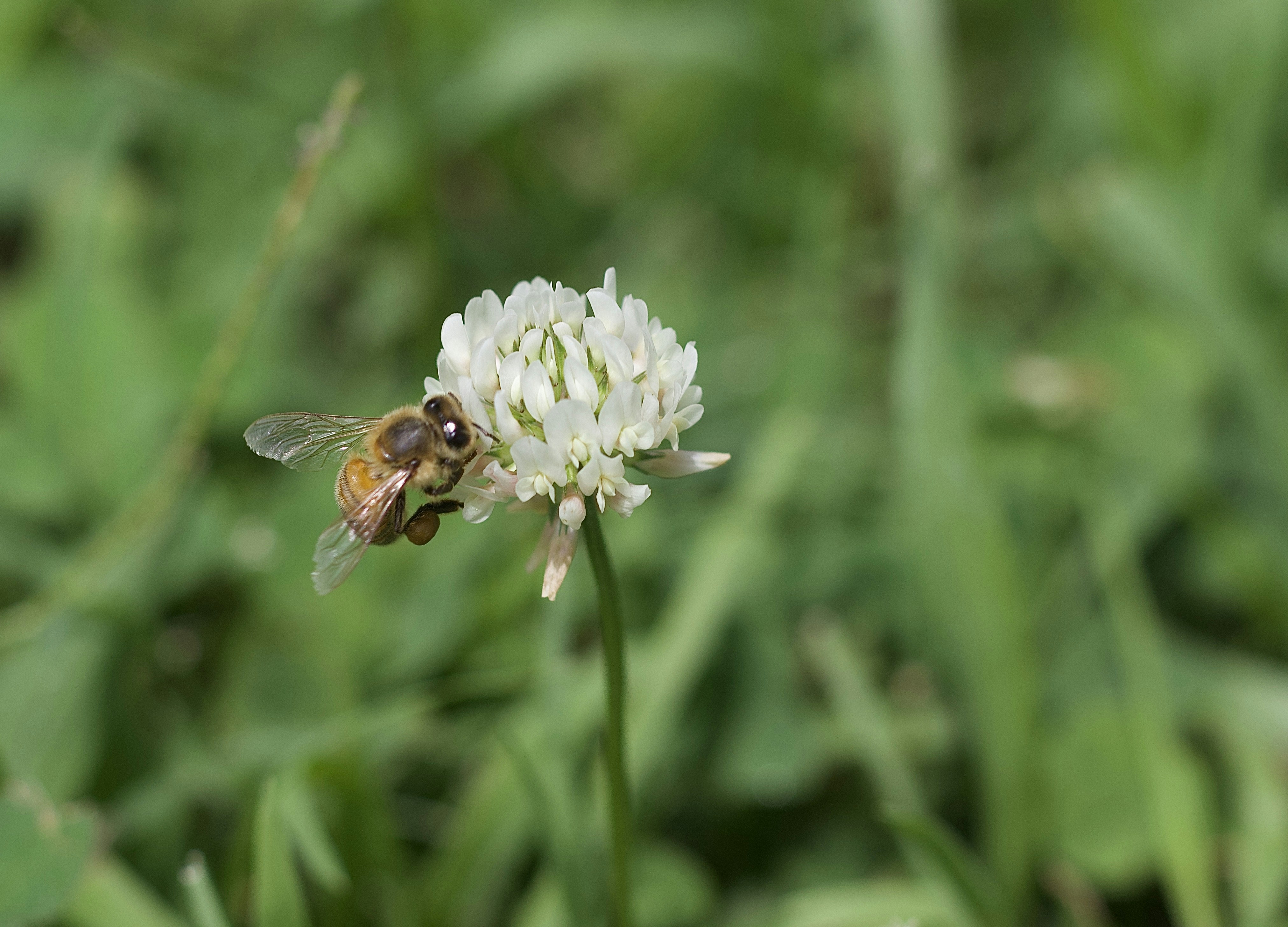 Photo by capturedbyk