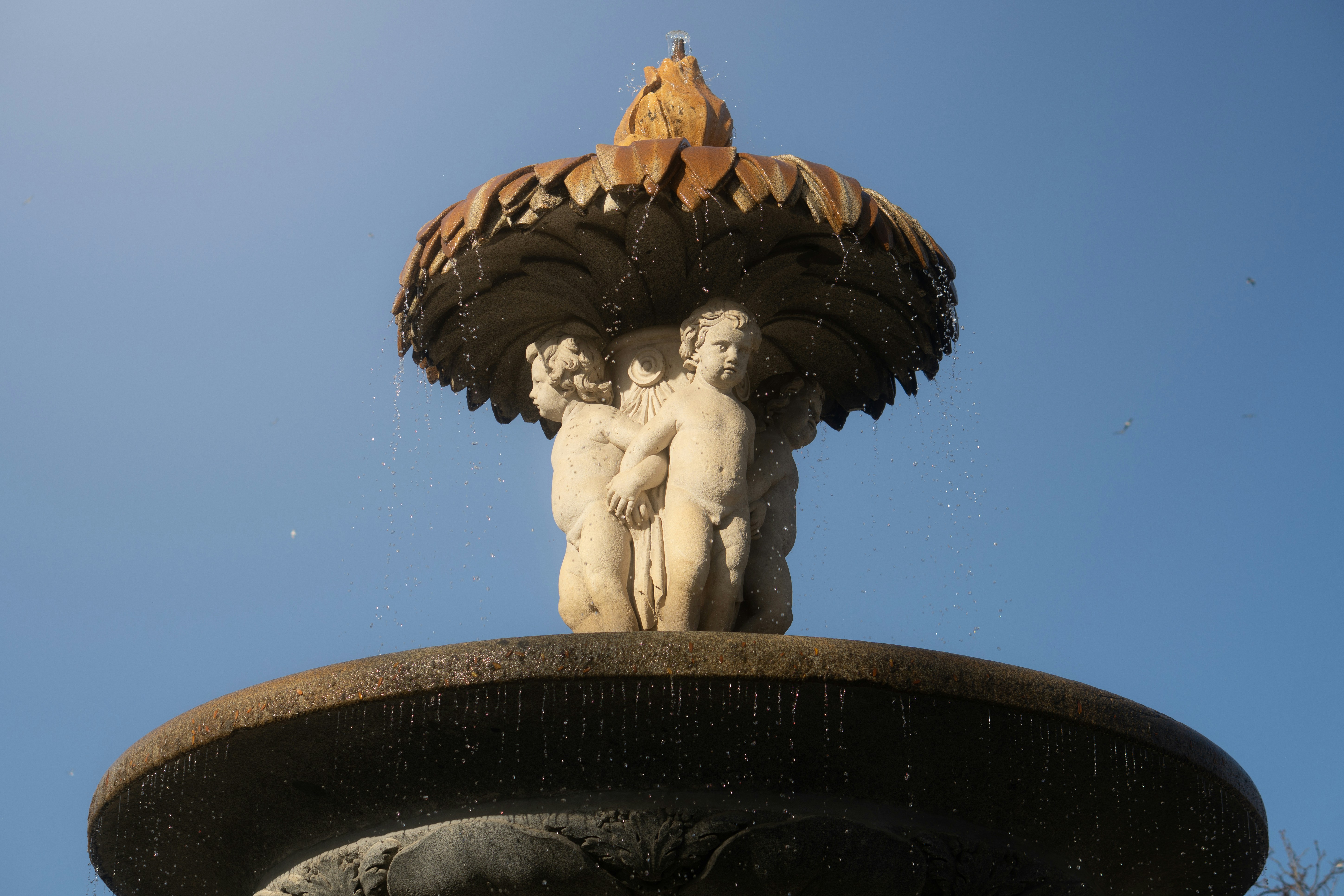 Fontaine Amédée-Larrieu