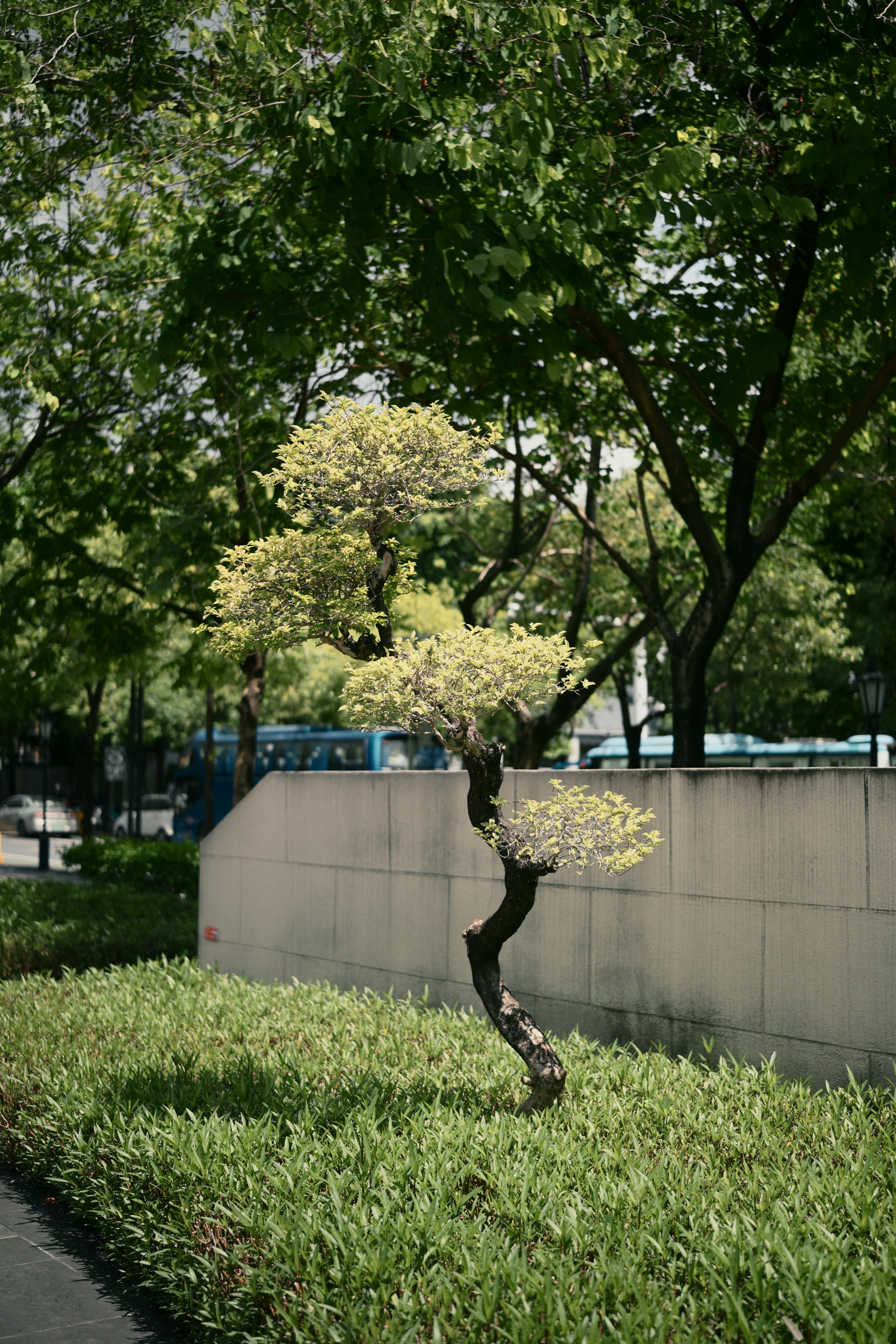 Photo by call_me_lee