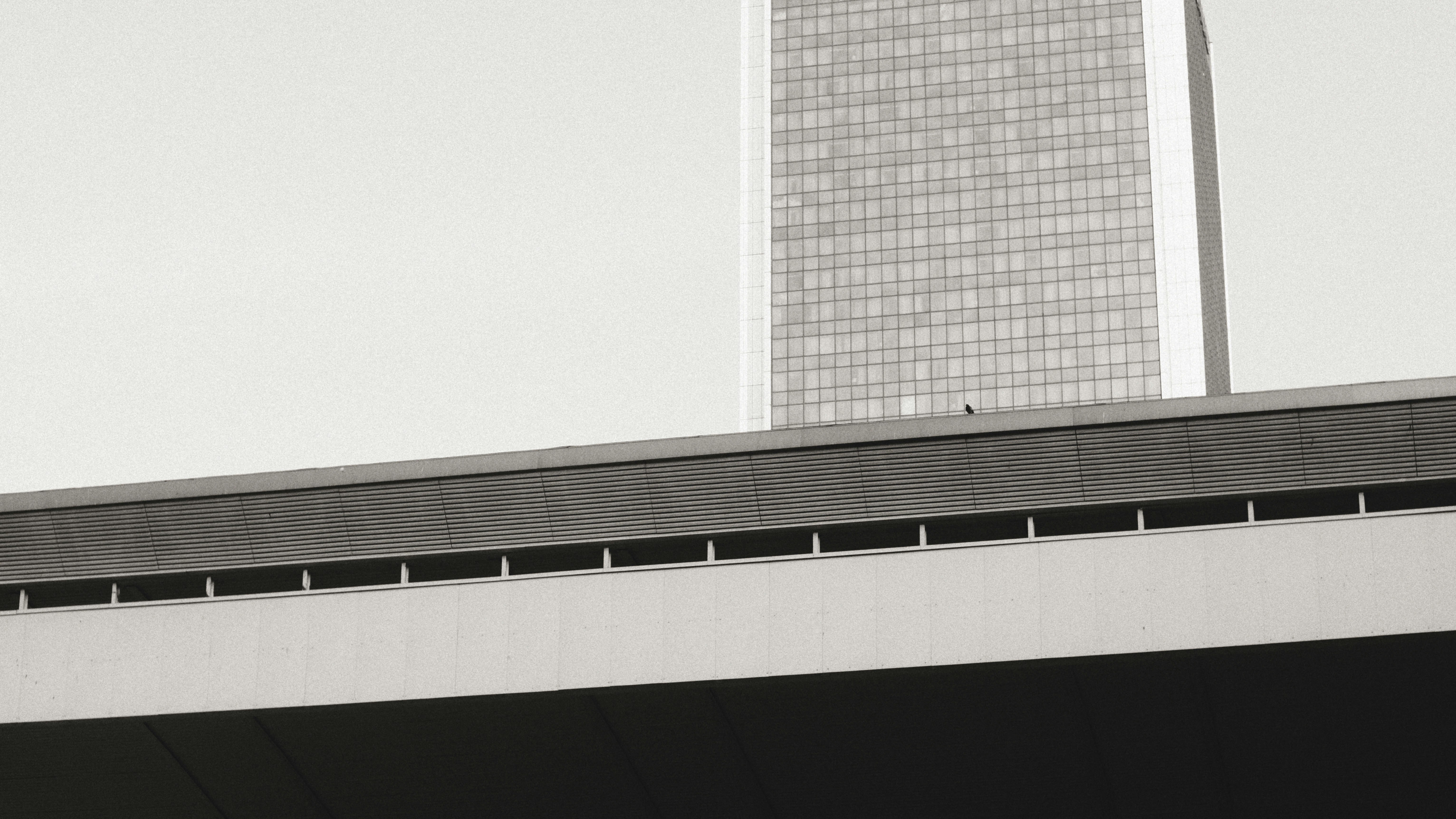 Photo by maksim_taawy