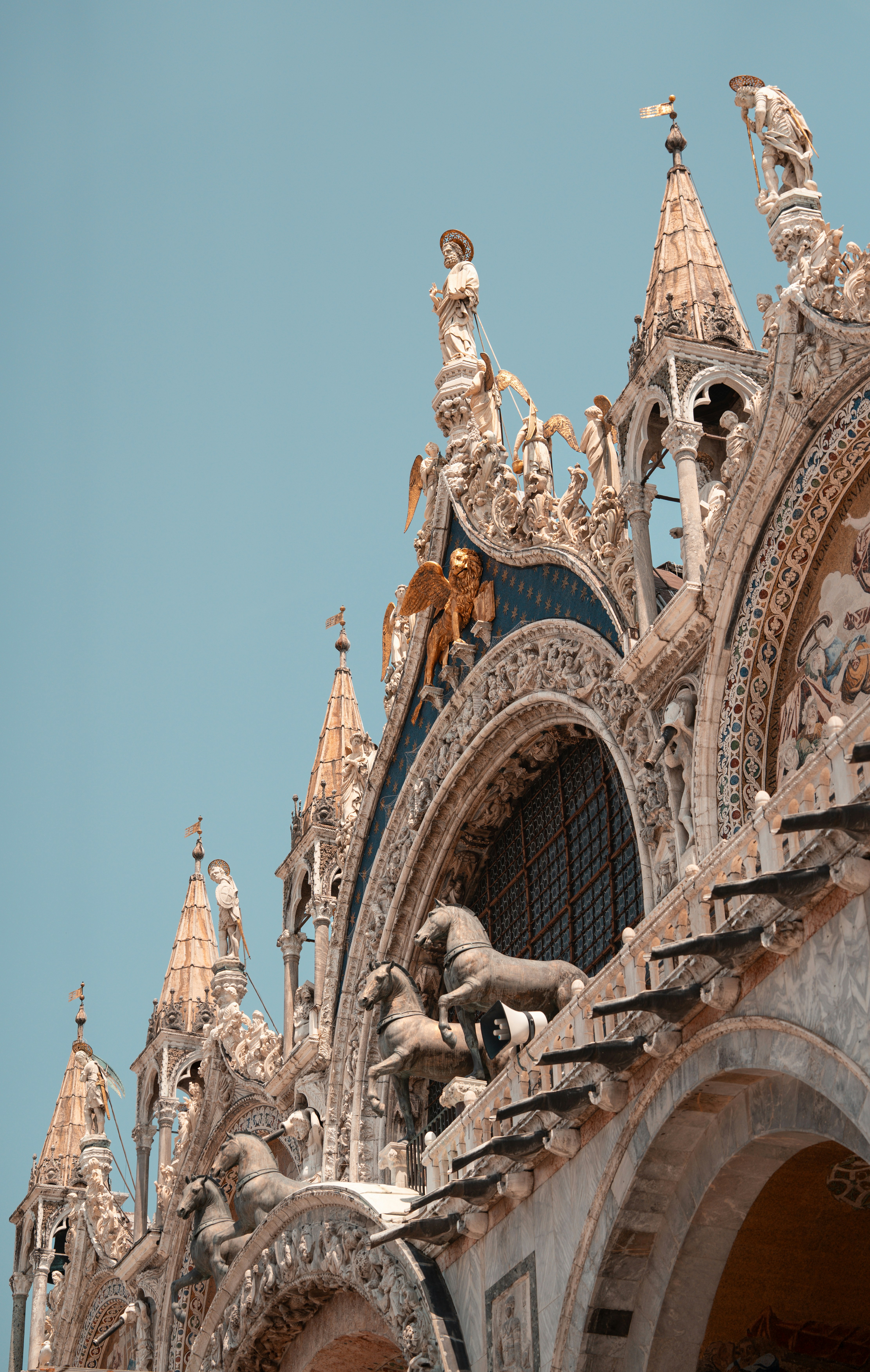 Photo by tlamtran_11