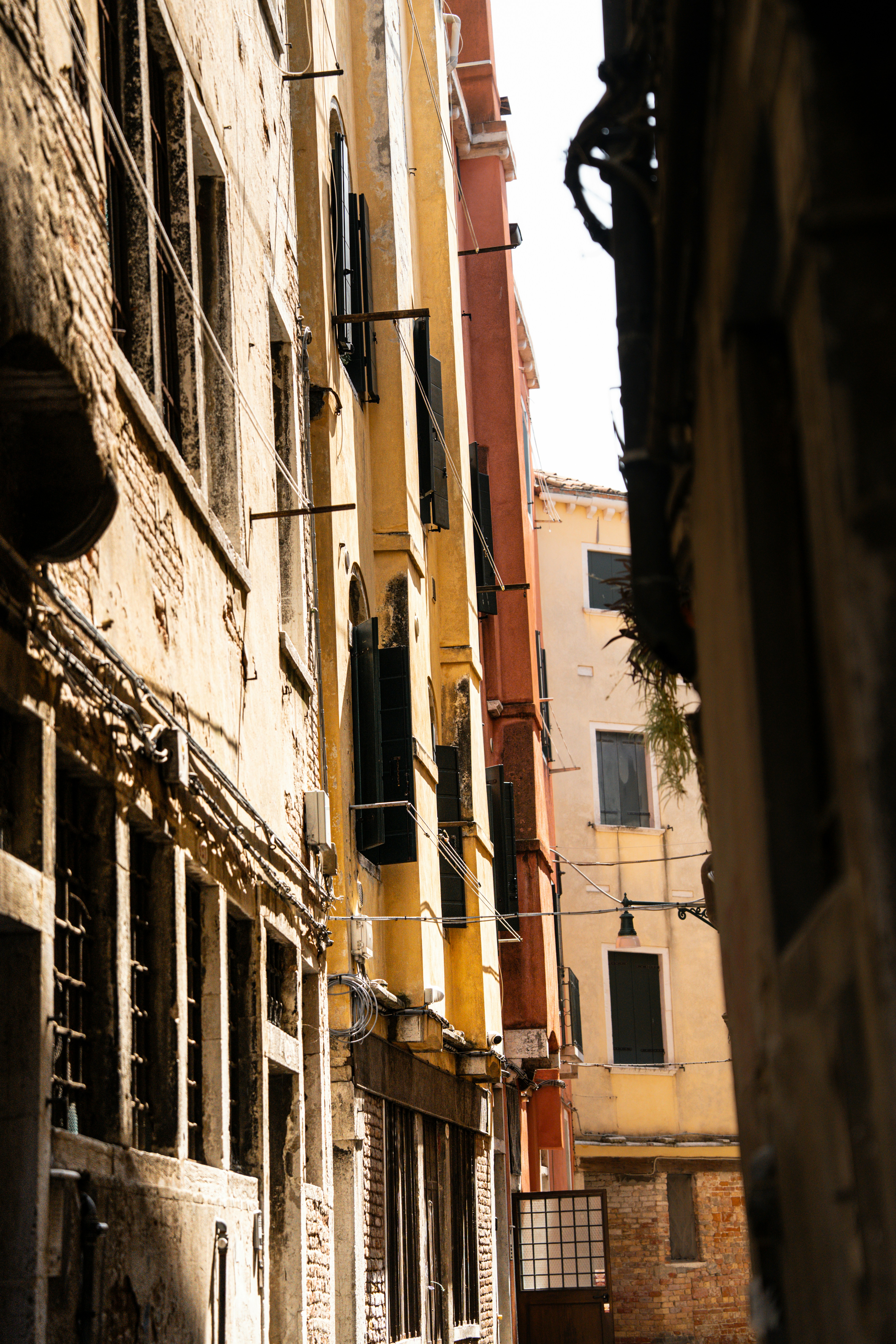 Photo by tlamtran_11