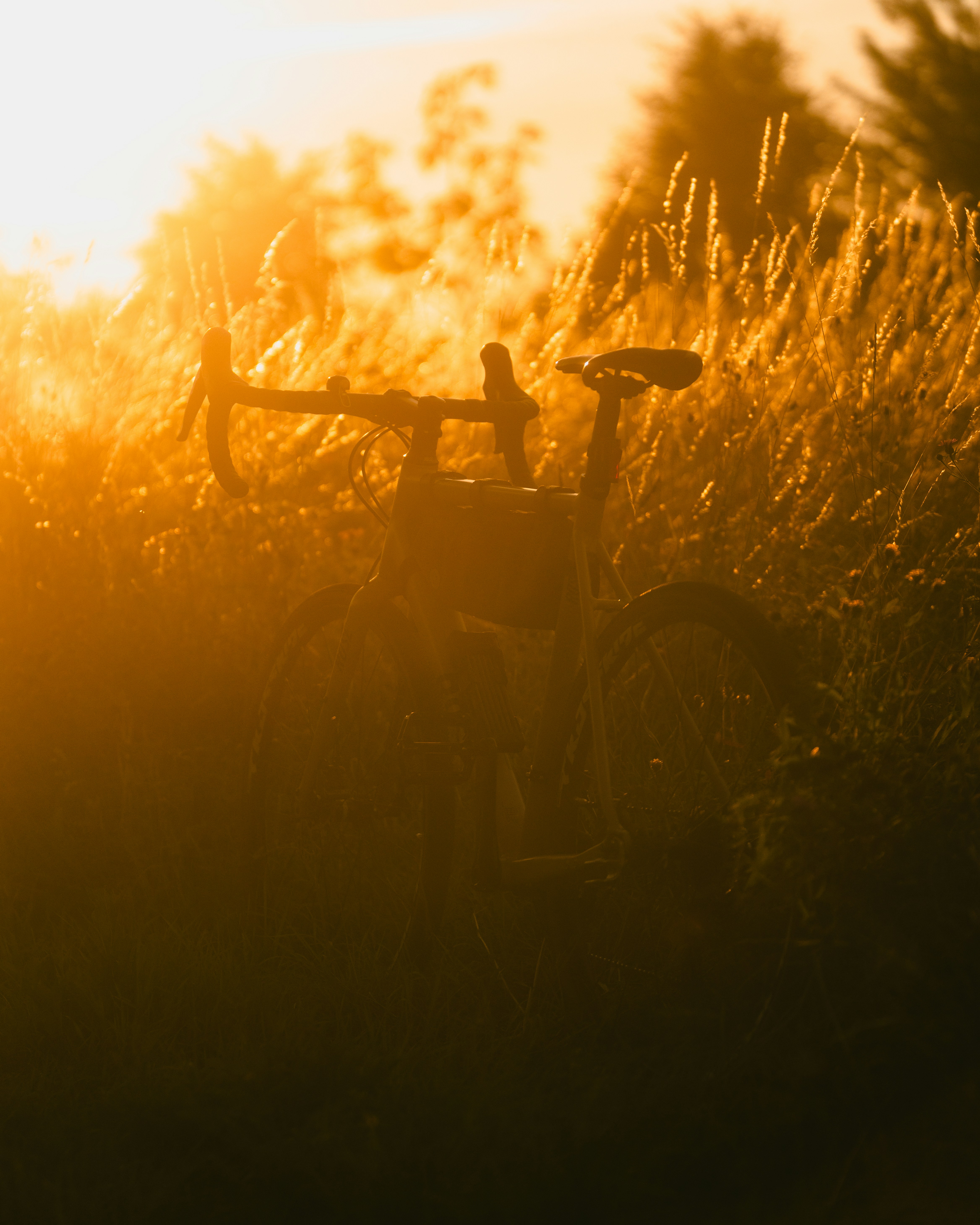 A bicycle silhouetted in golden sunlight.