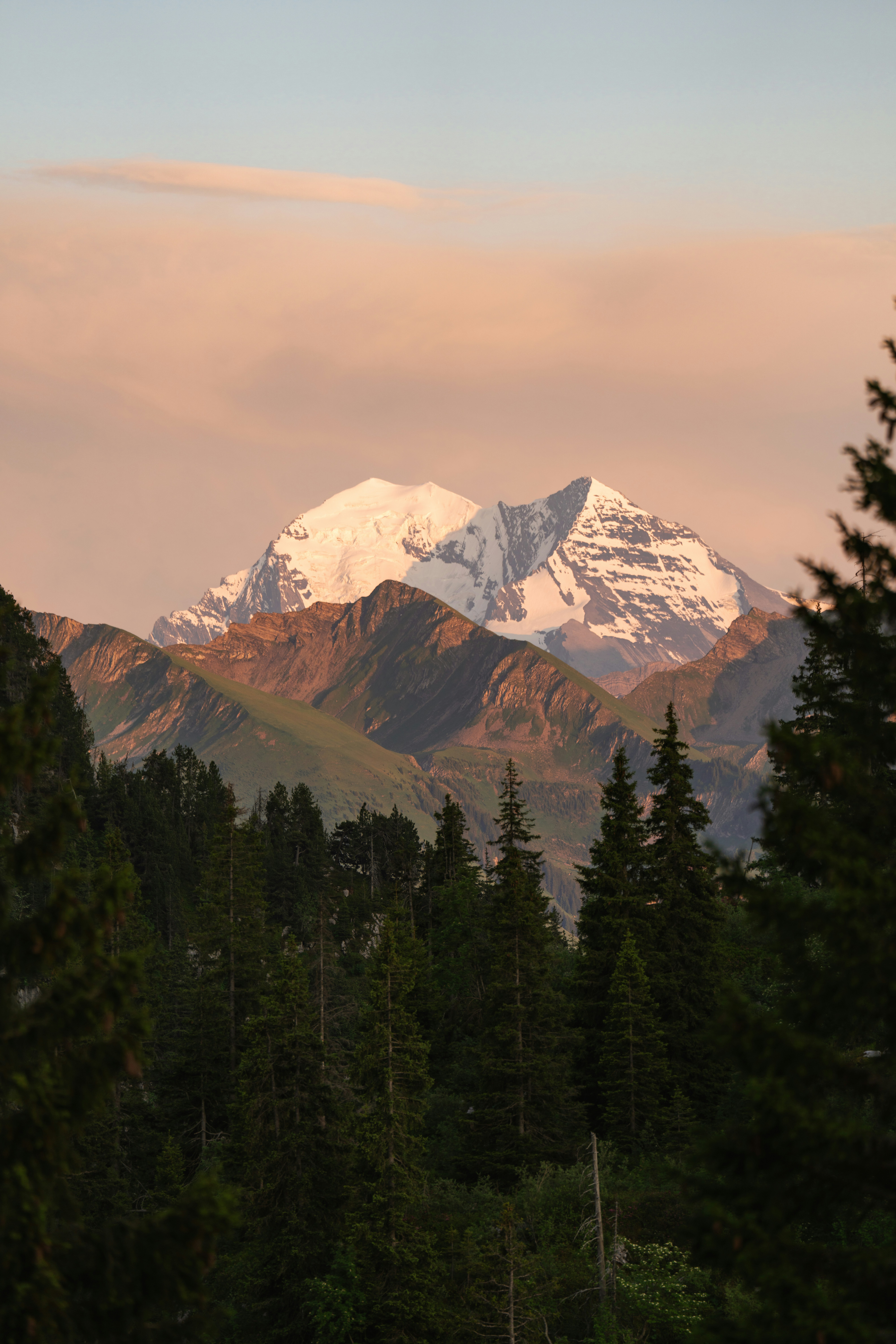 Photo by liviaphotographs